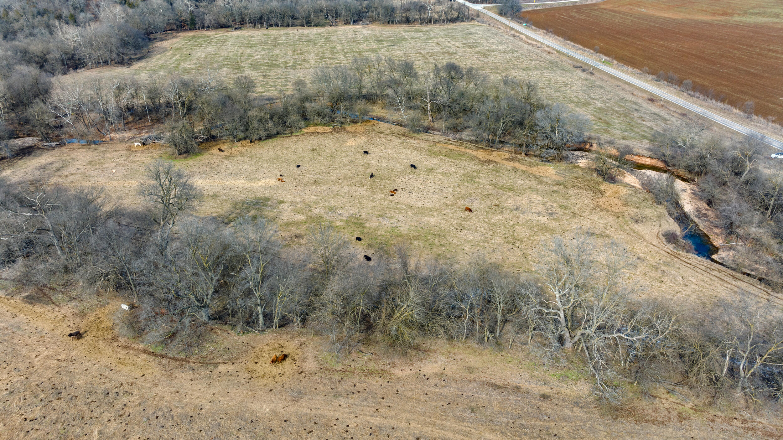 17430 State Hwy O Property Photo 8