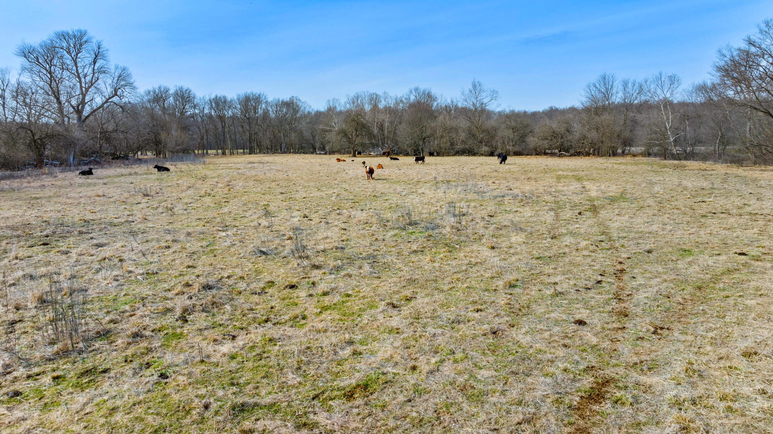 17430 State Hwy O Property Photo 10
