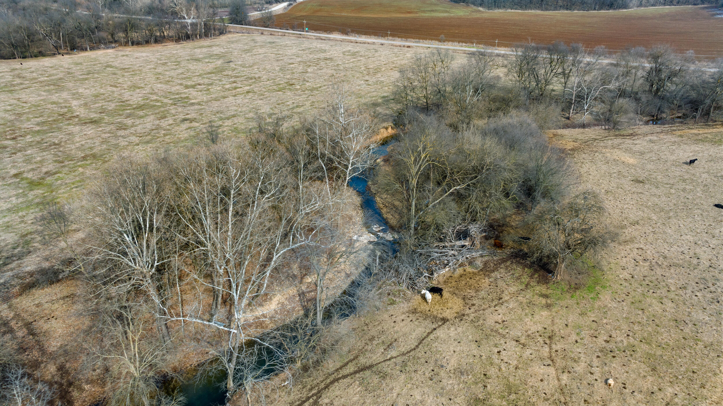 17430 State Hwy O Property Photo 11