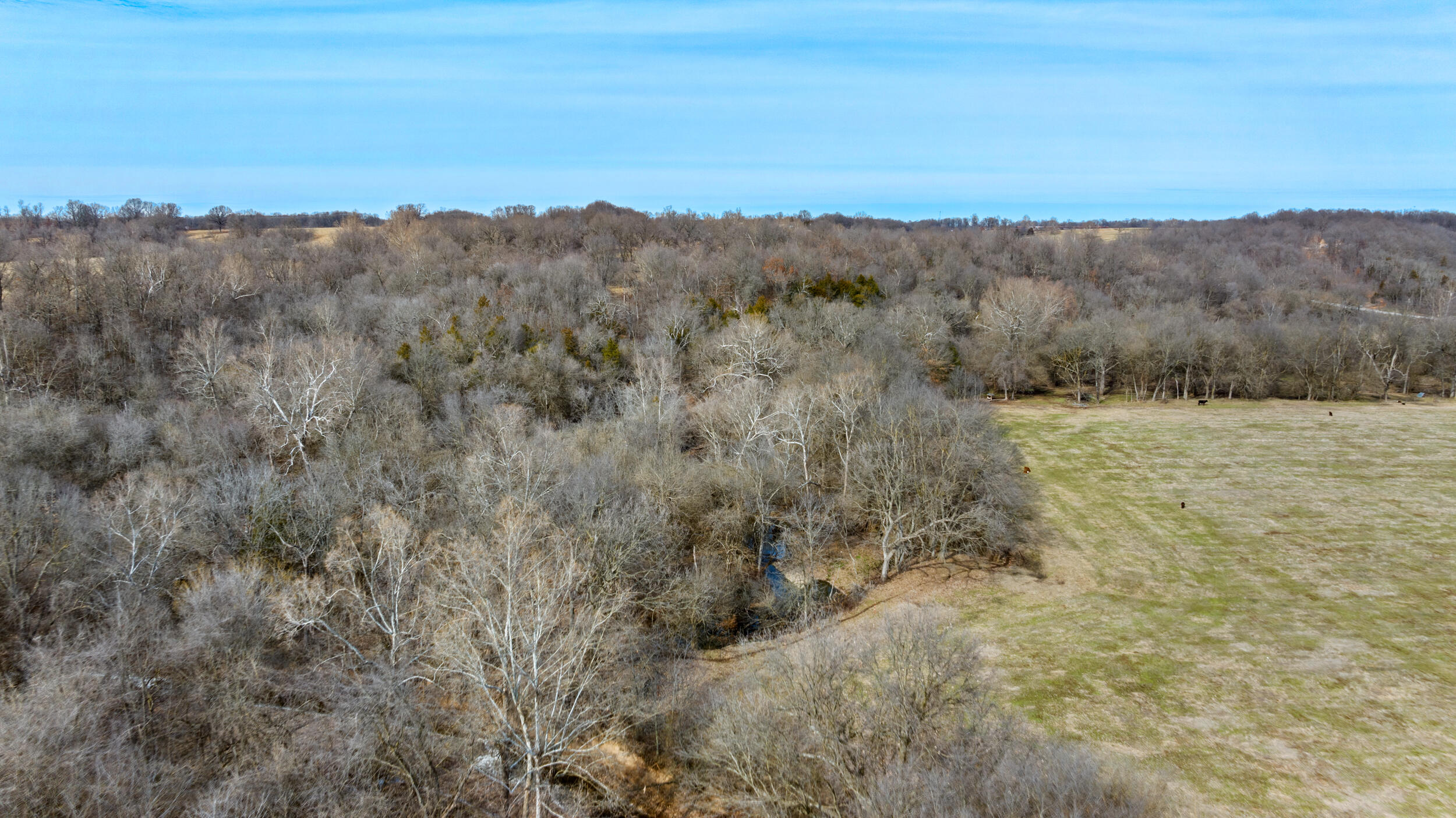 17430 State Hwy O Property Photo 12