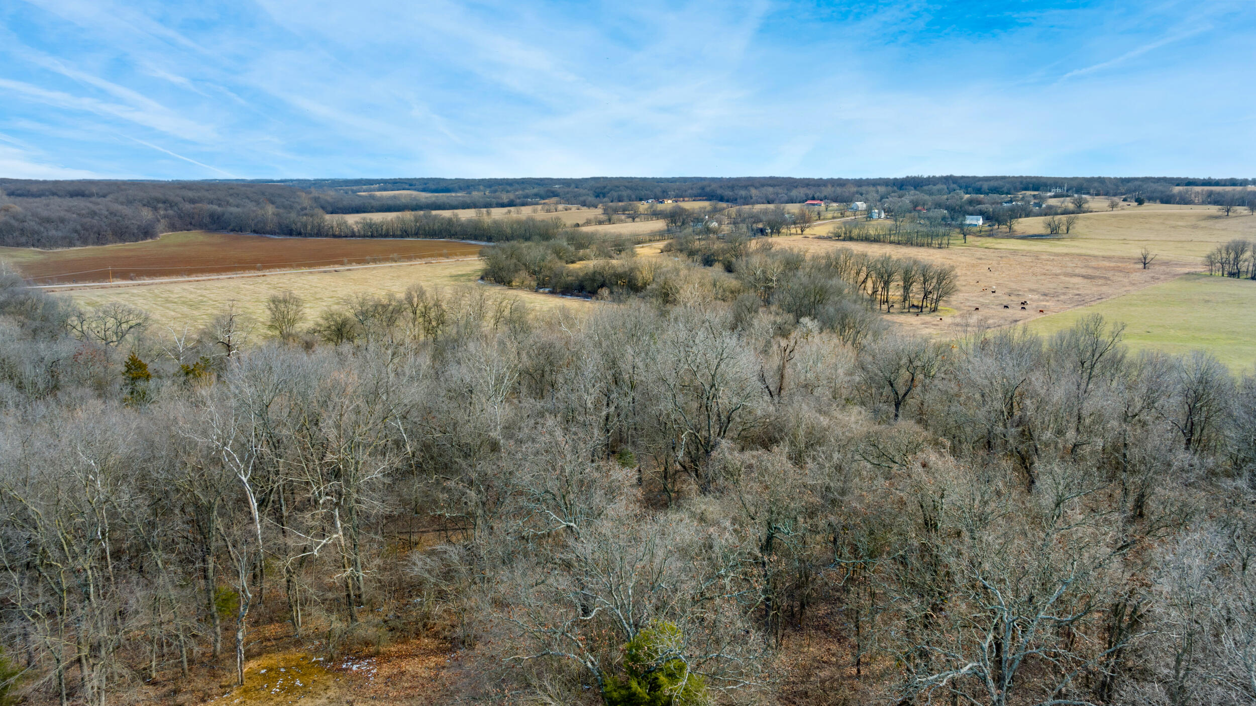 17430 State Hwy O Property Photo 16