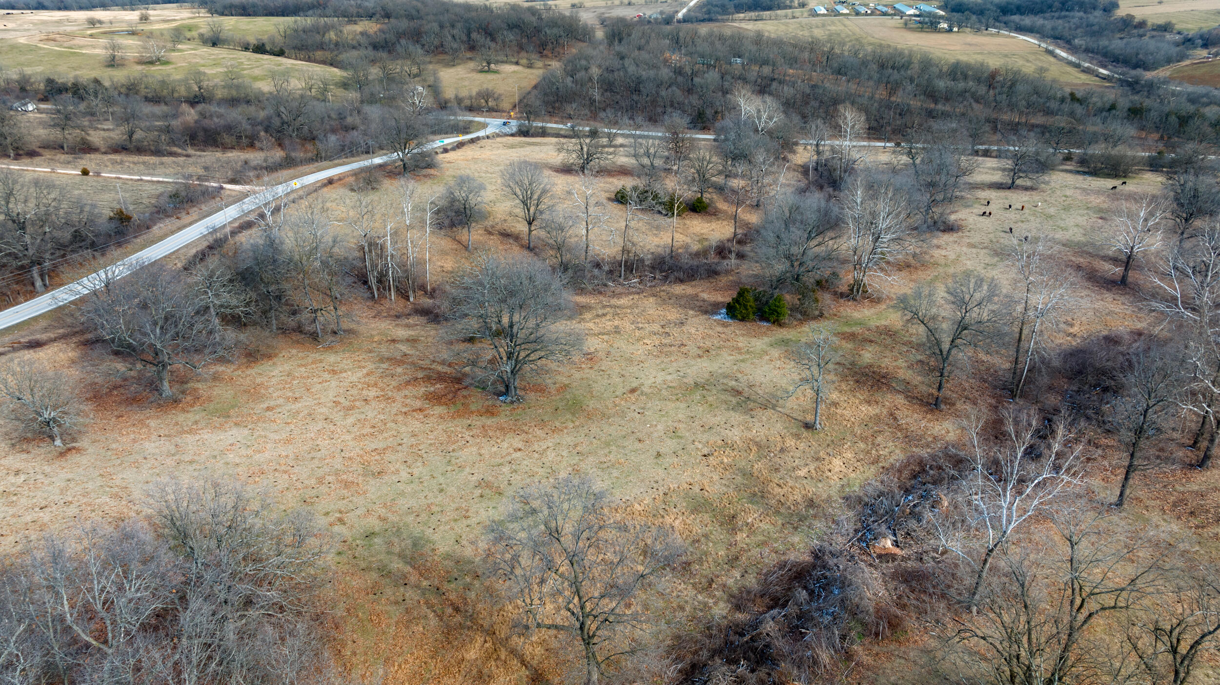 17430 State Hwy O Property Photo 21
