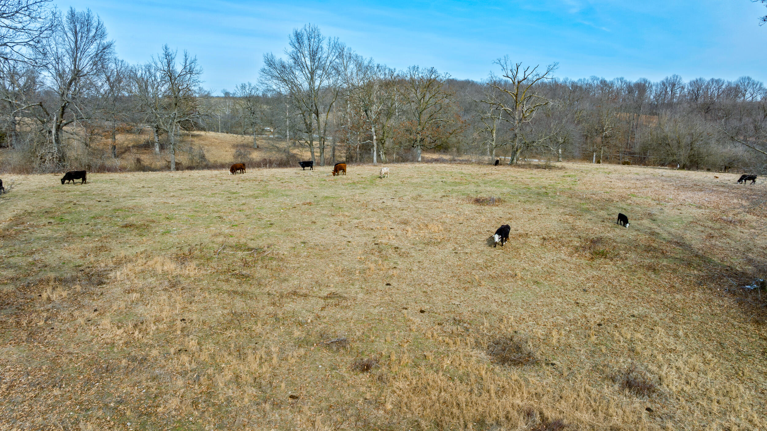 17430 State Hwy O Property Photo 23