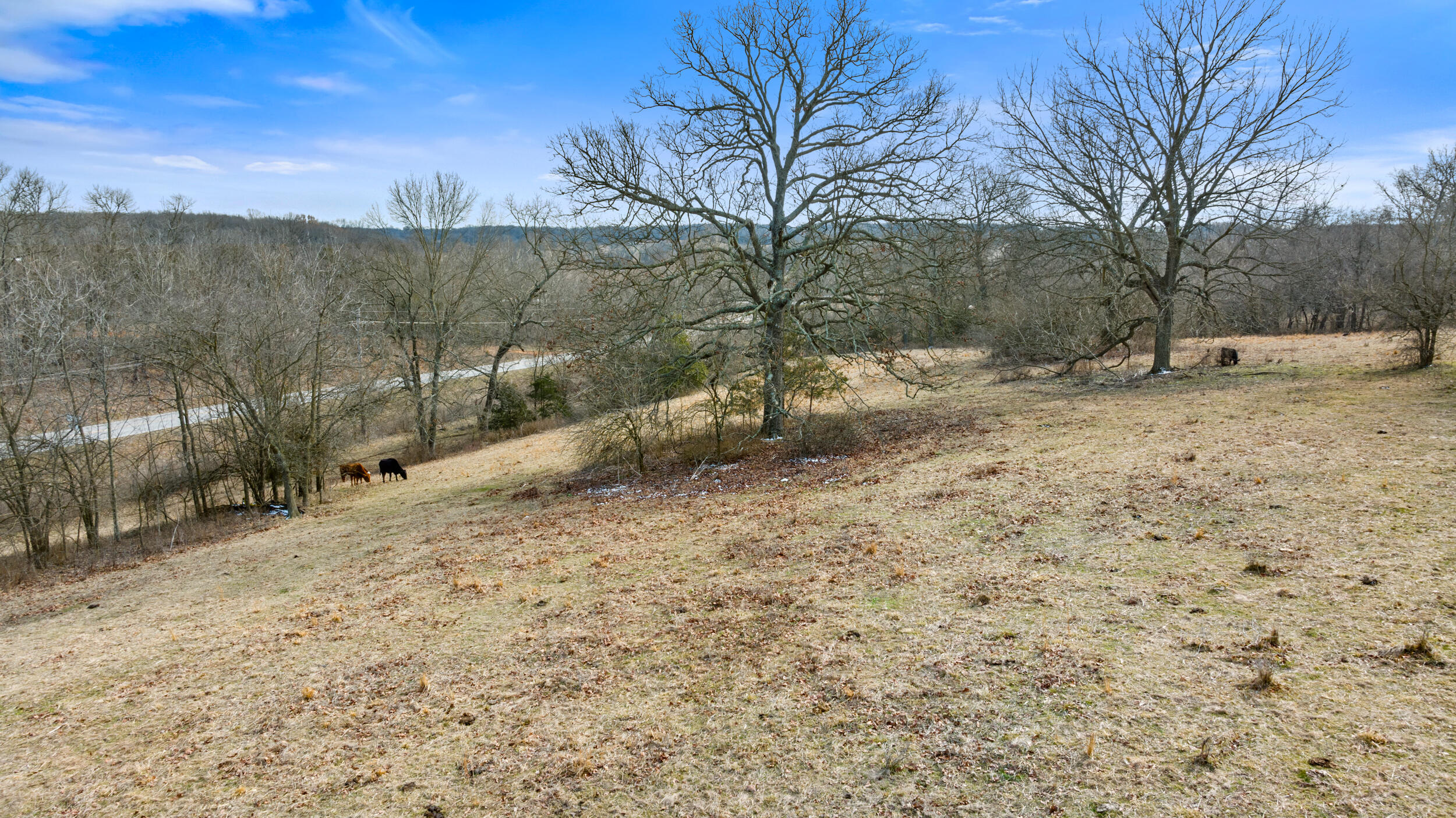 17430 State Hwy O Property Photo 25