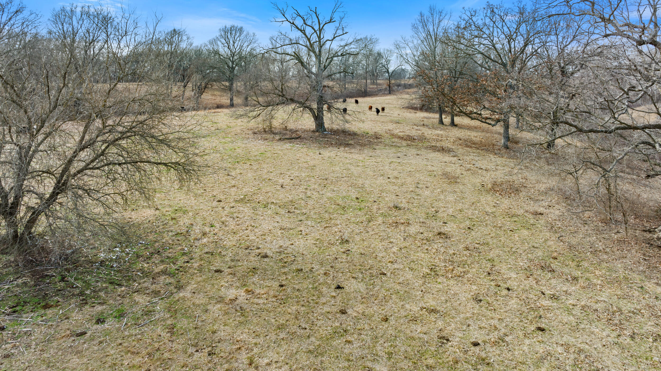 17430 State Hwy O Property Photo 27