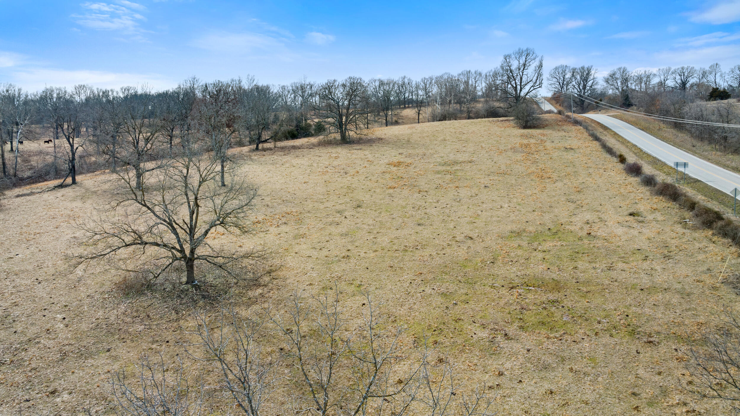17430 State Hwy O Property Photo 28