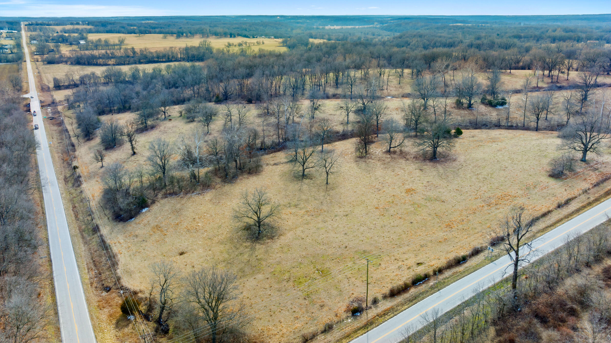 17430 State Hwy O Property Photo 29
