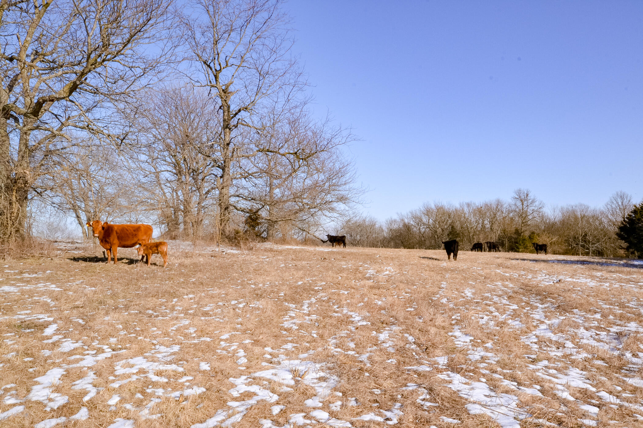 14546 Northeast Cr 5313 Property Photo 18