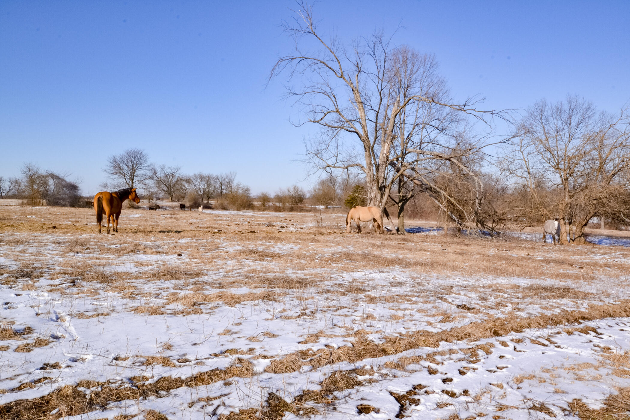 14546 Northeast Cr 5313 Property Photo 22