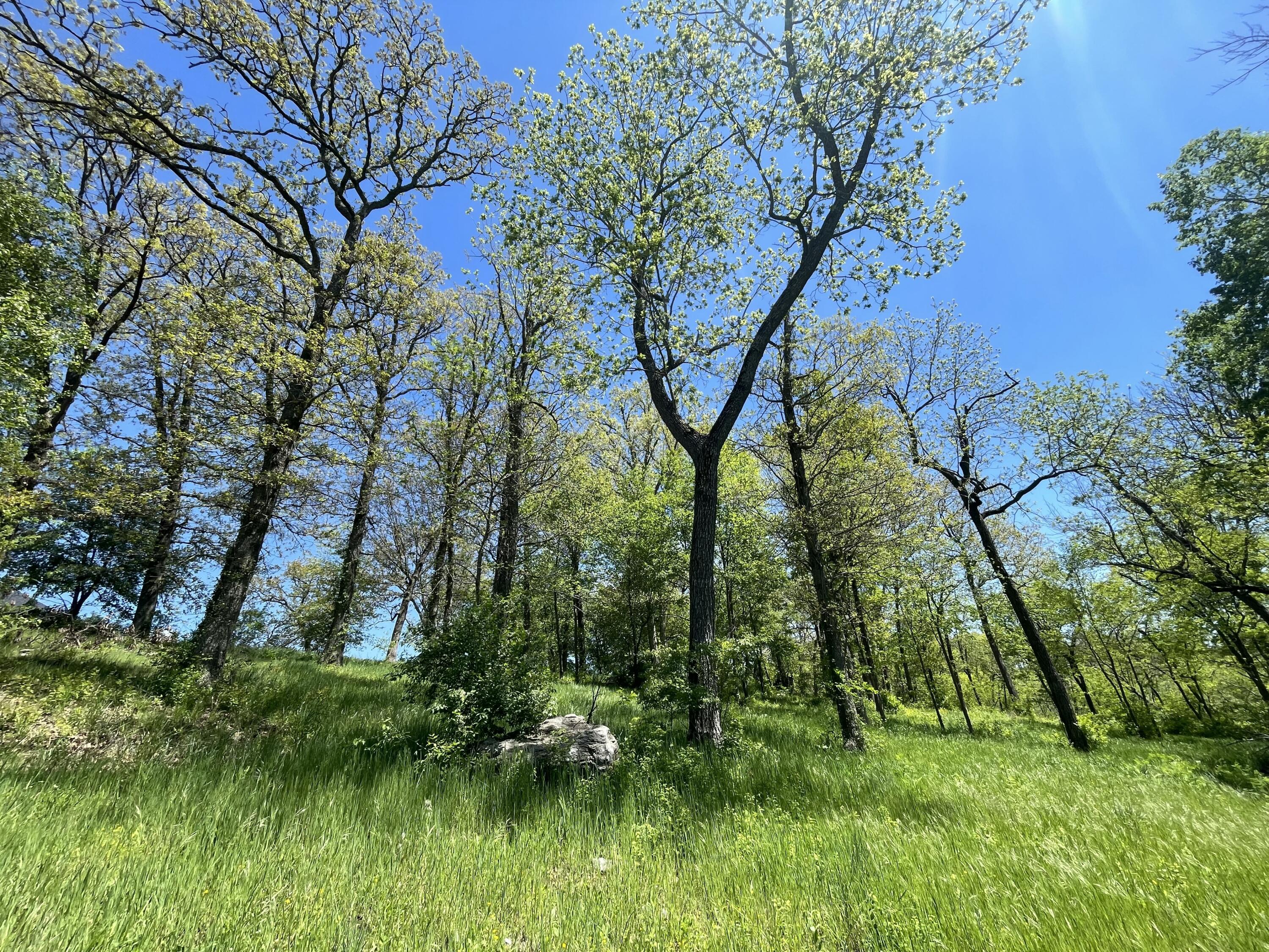 L8 Ph2 Regello Tuscany Hills Property Photo 3