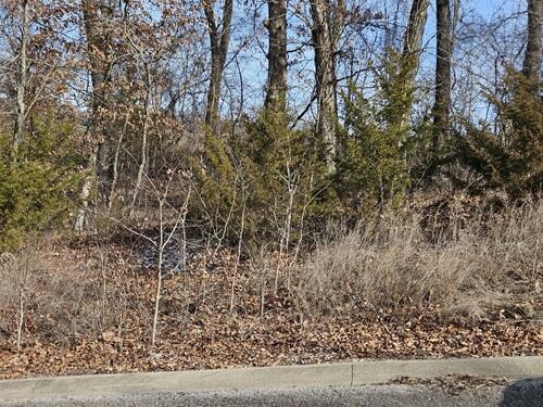 310 Flint Rock Court Property Photo 4