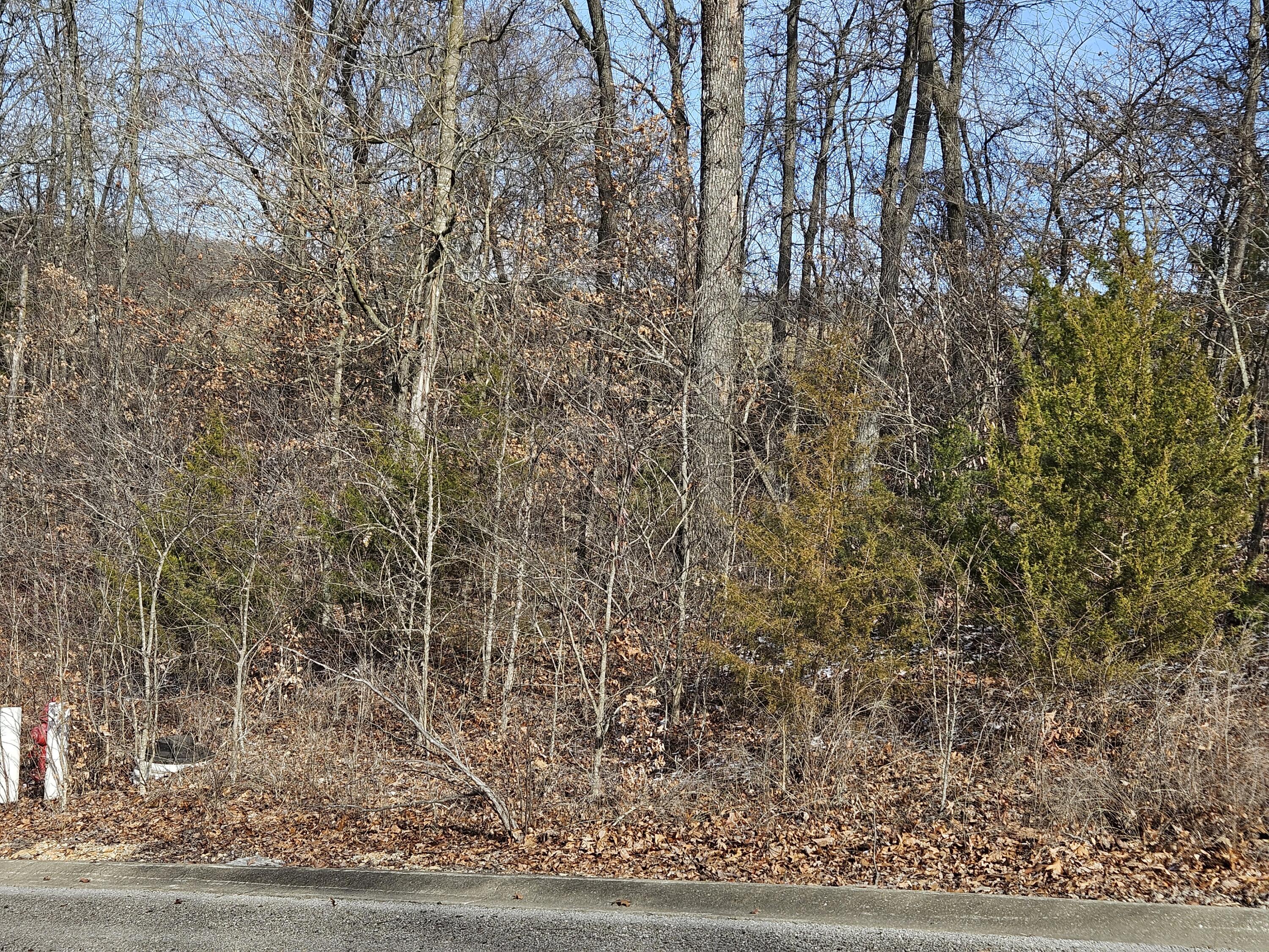 310 Flint Rock Court Property Photo 5