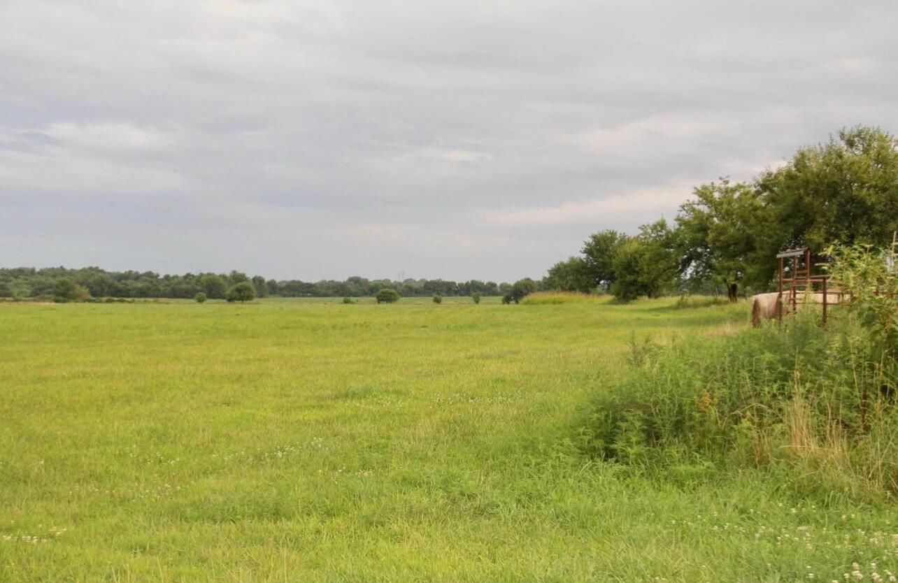 14085 Wallaby Road Property Photo 14