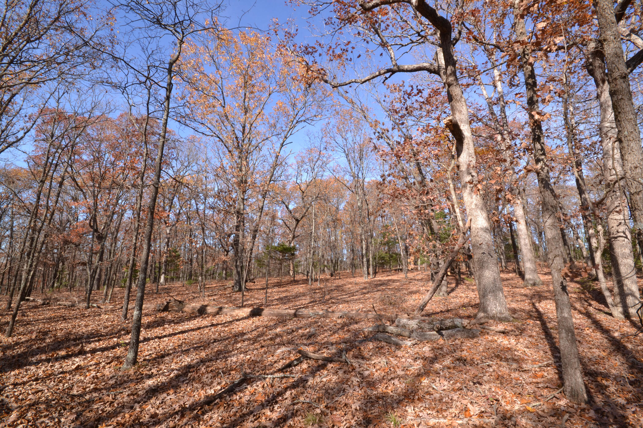 000 South Highway Aa Property Photo 10