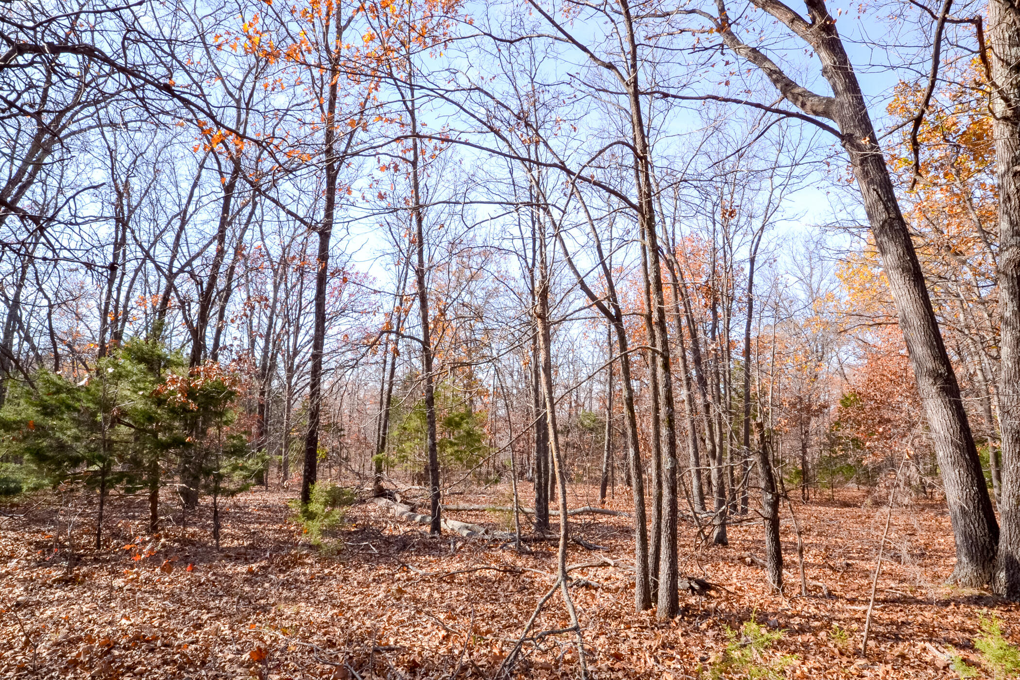 000 South Highway Aa Property Photo 13