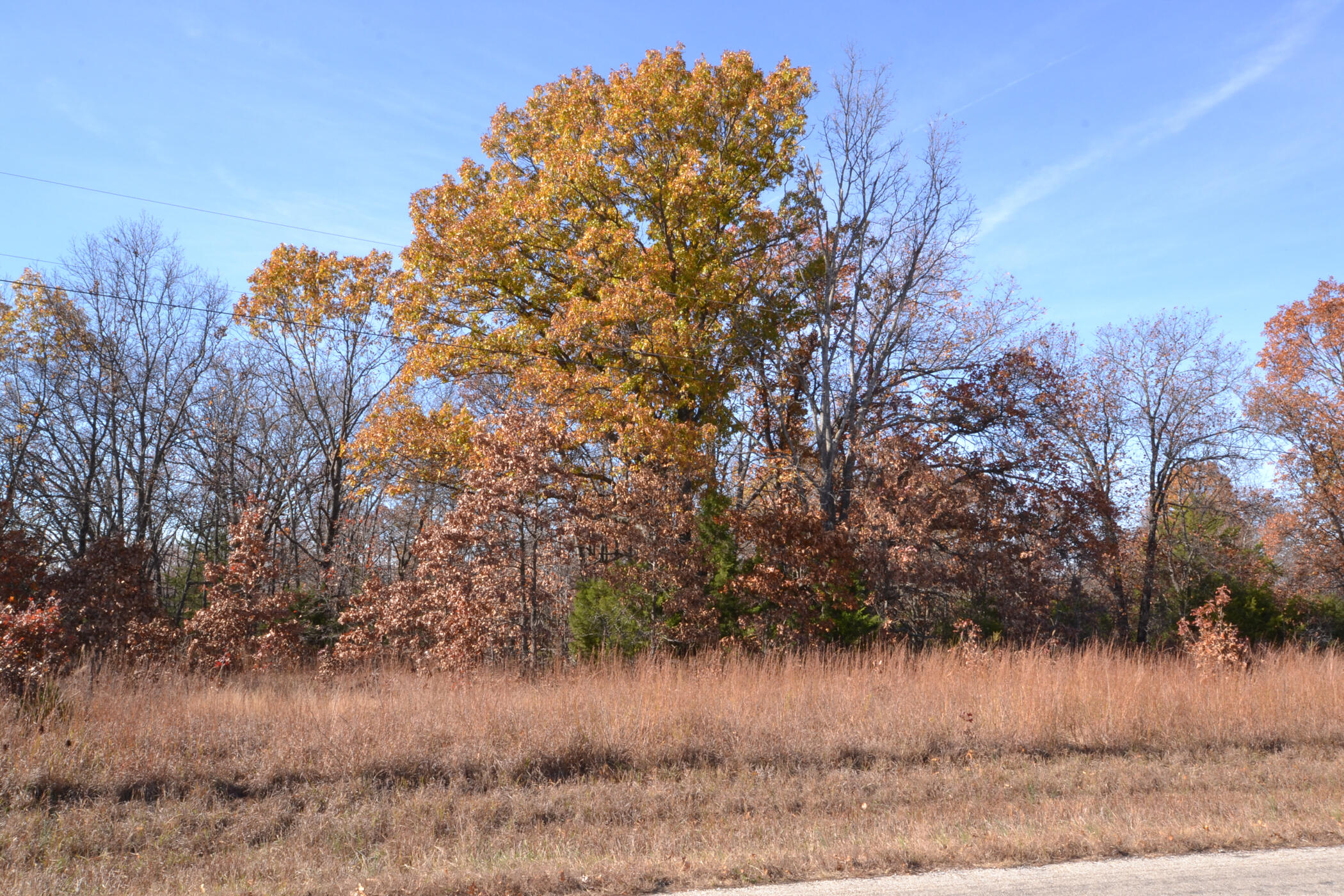 000 South Highway Aa Property Photo 15