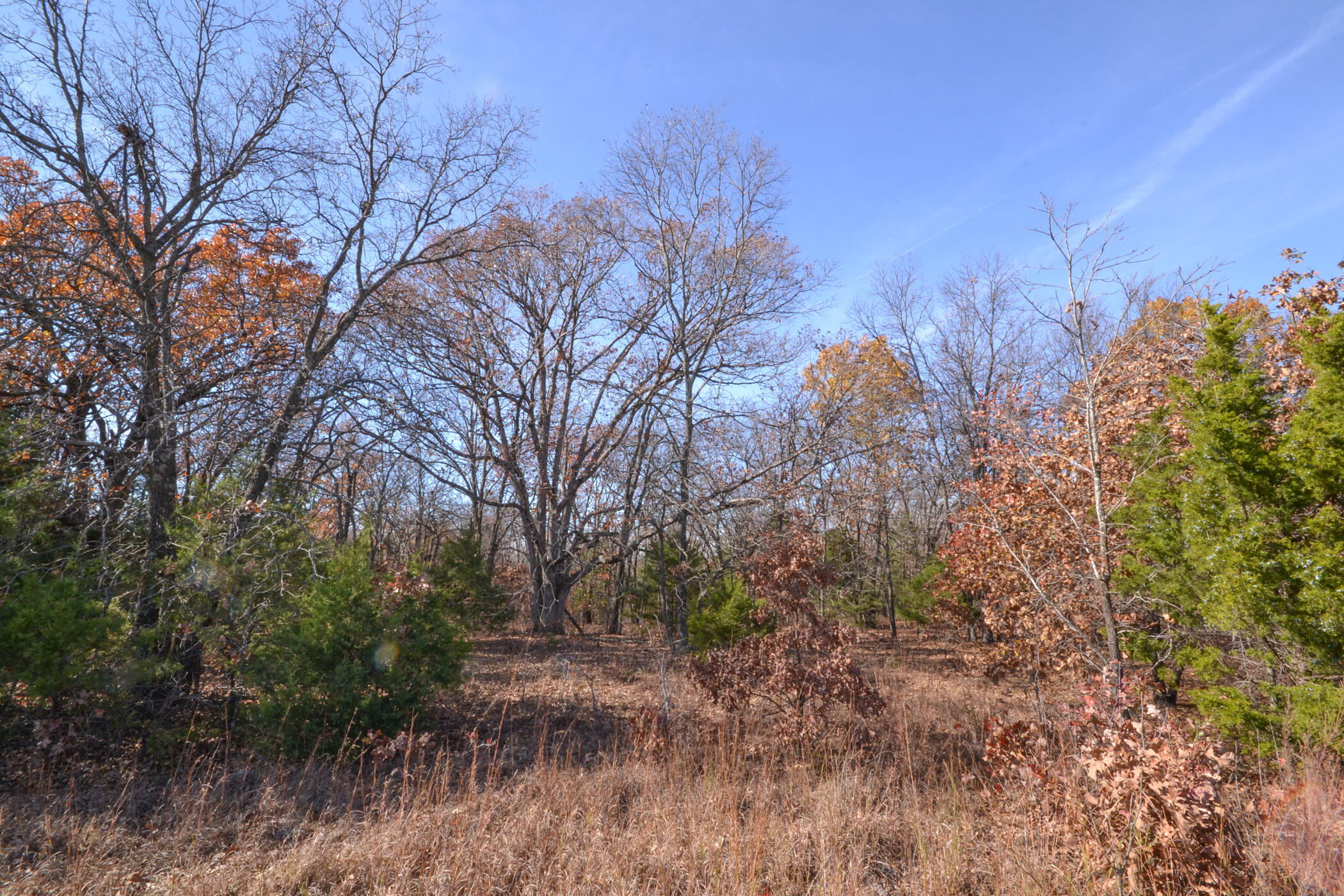 000 South Highway Aa Property Photo 19