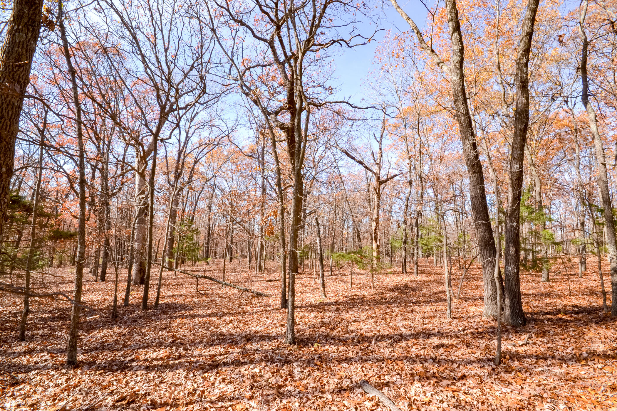 001 South Highway Aa Property Photo