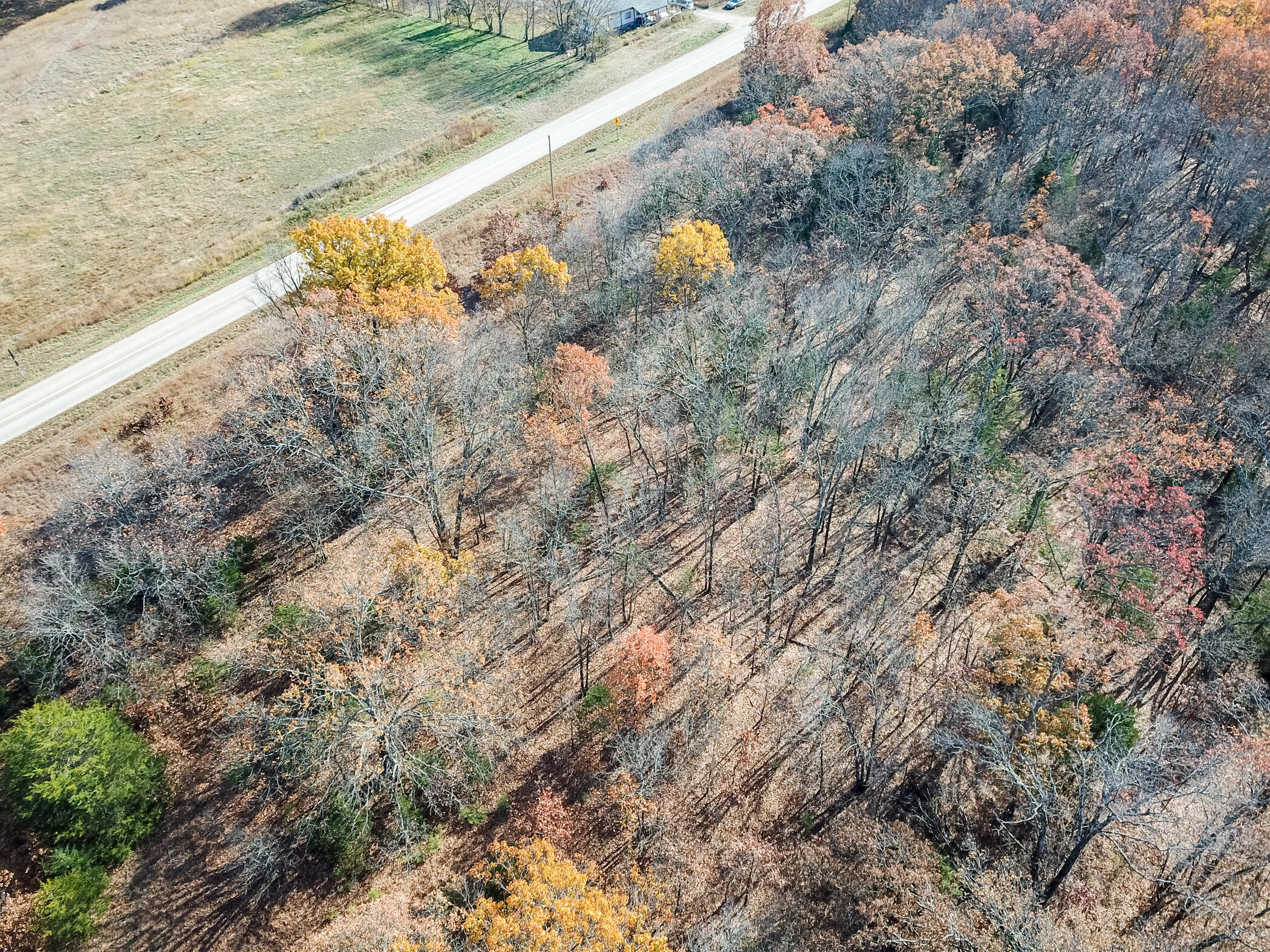 001 South Highway Aa Property Photo 9
