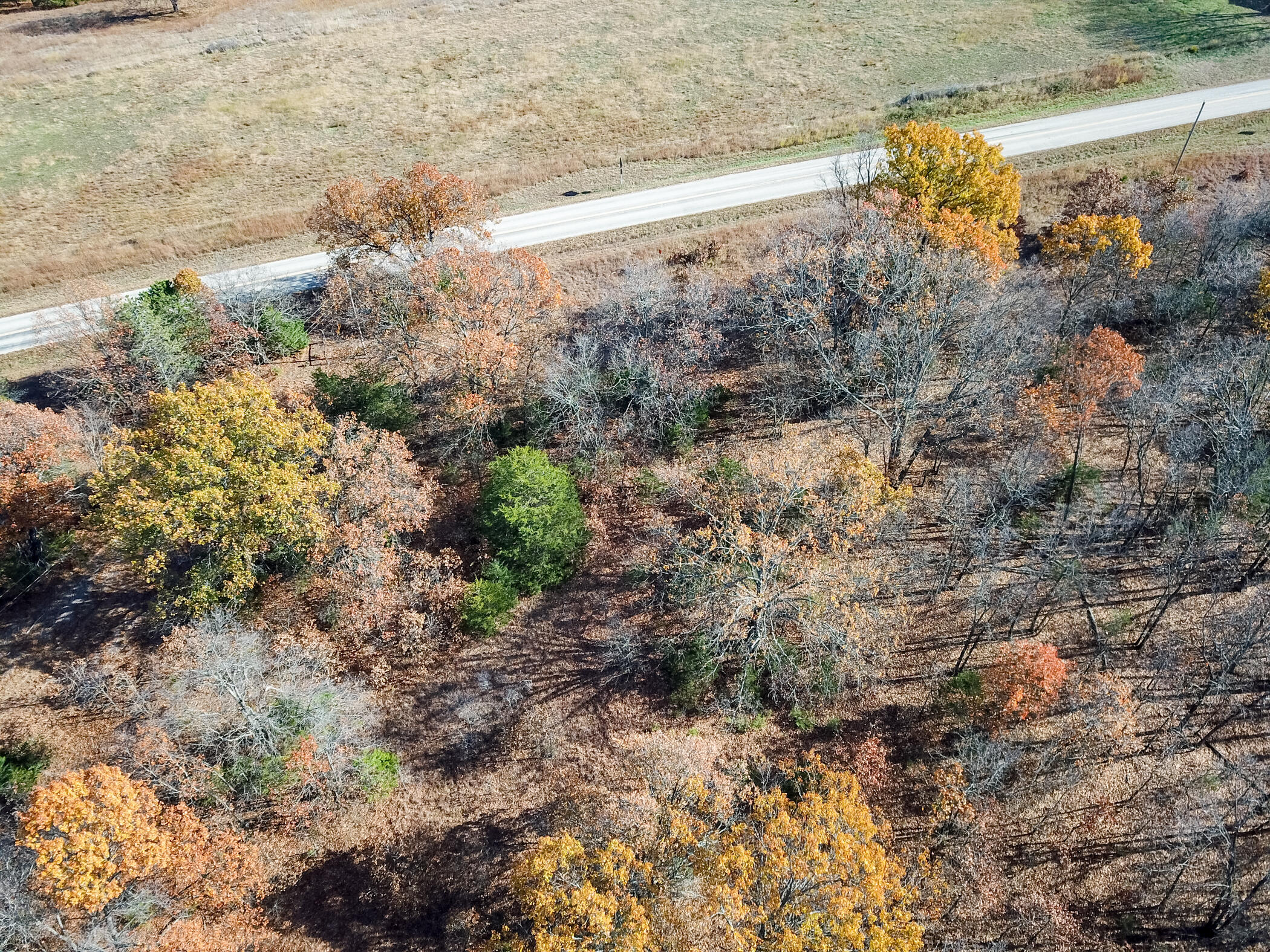 001 South Highway Aa Property Photo 10