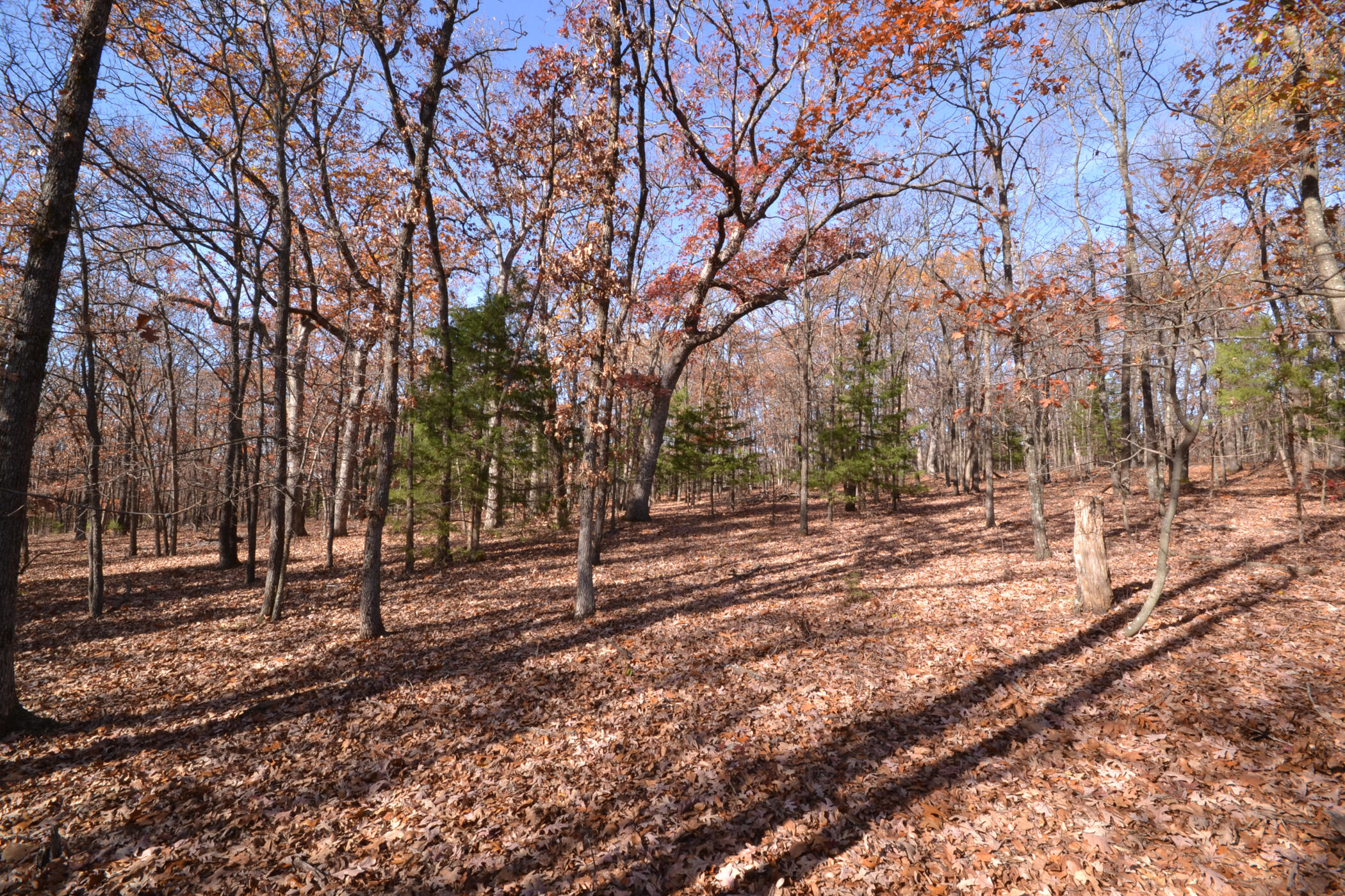 001 South Highway Aa Property Photo 12