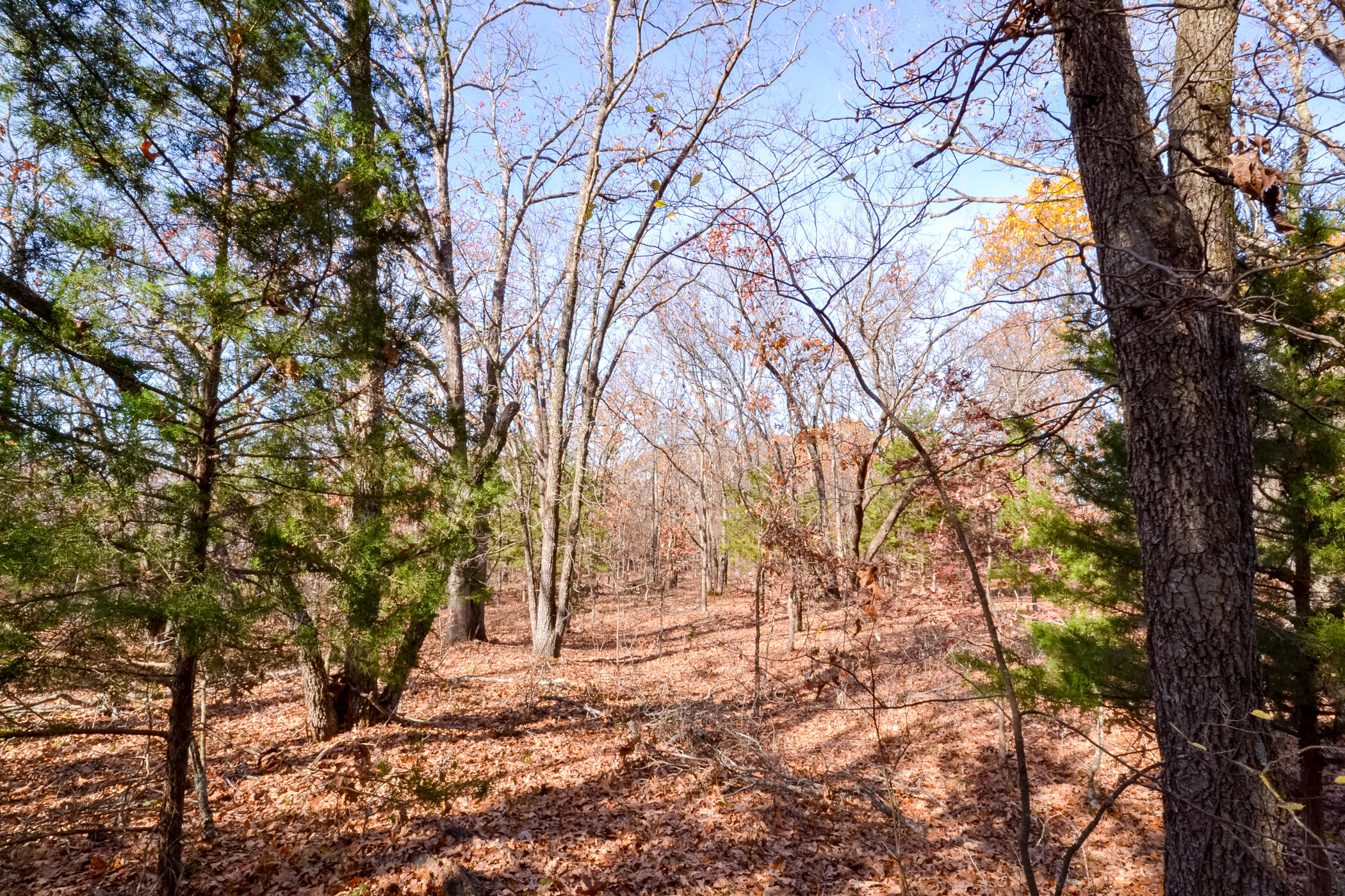 001 South Highway Aa Property Photo 14