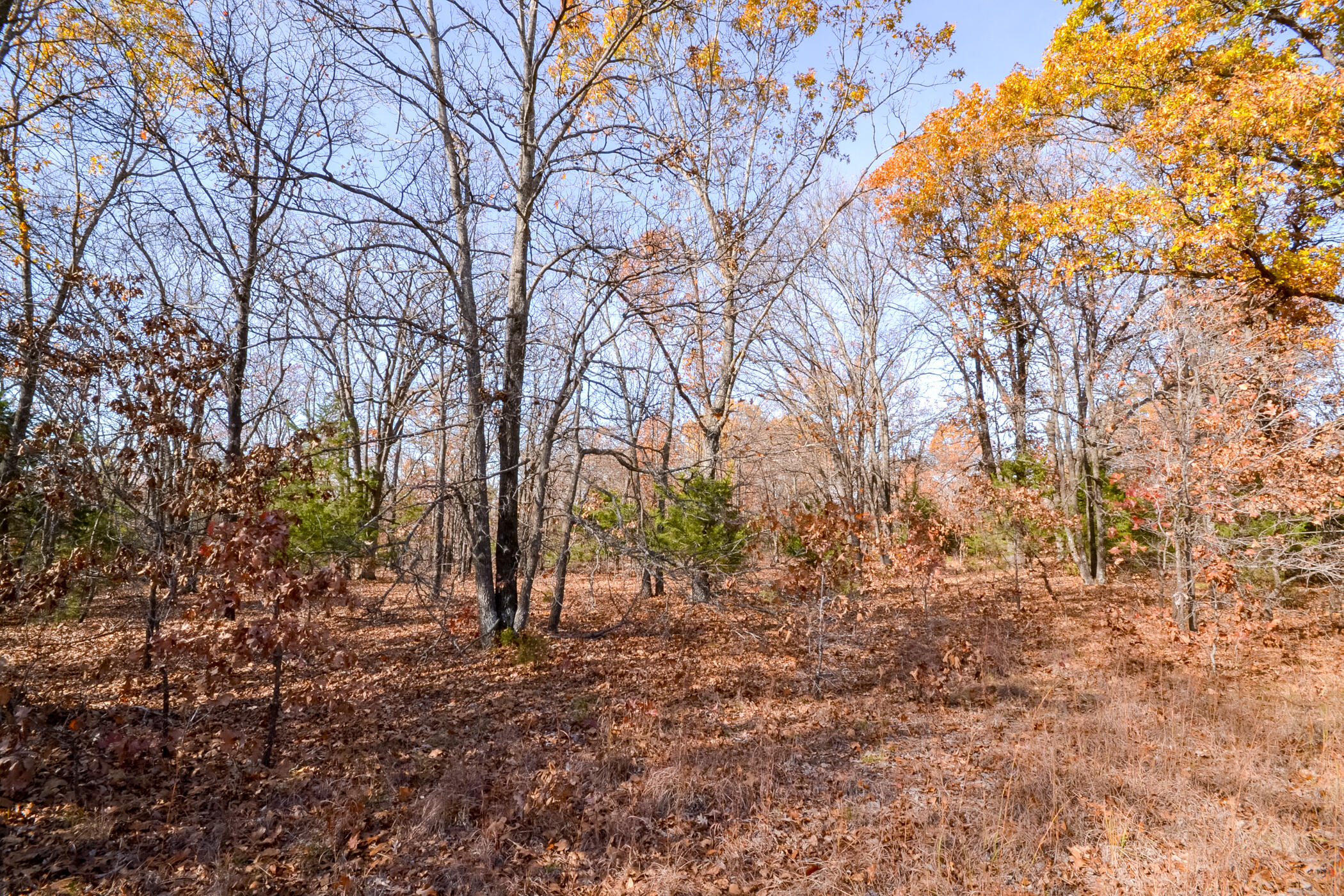 001 South Highway Aa Property Photo 15