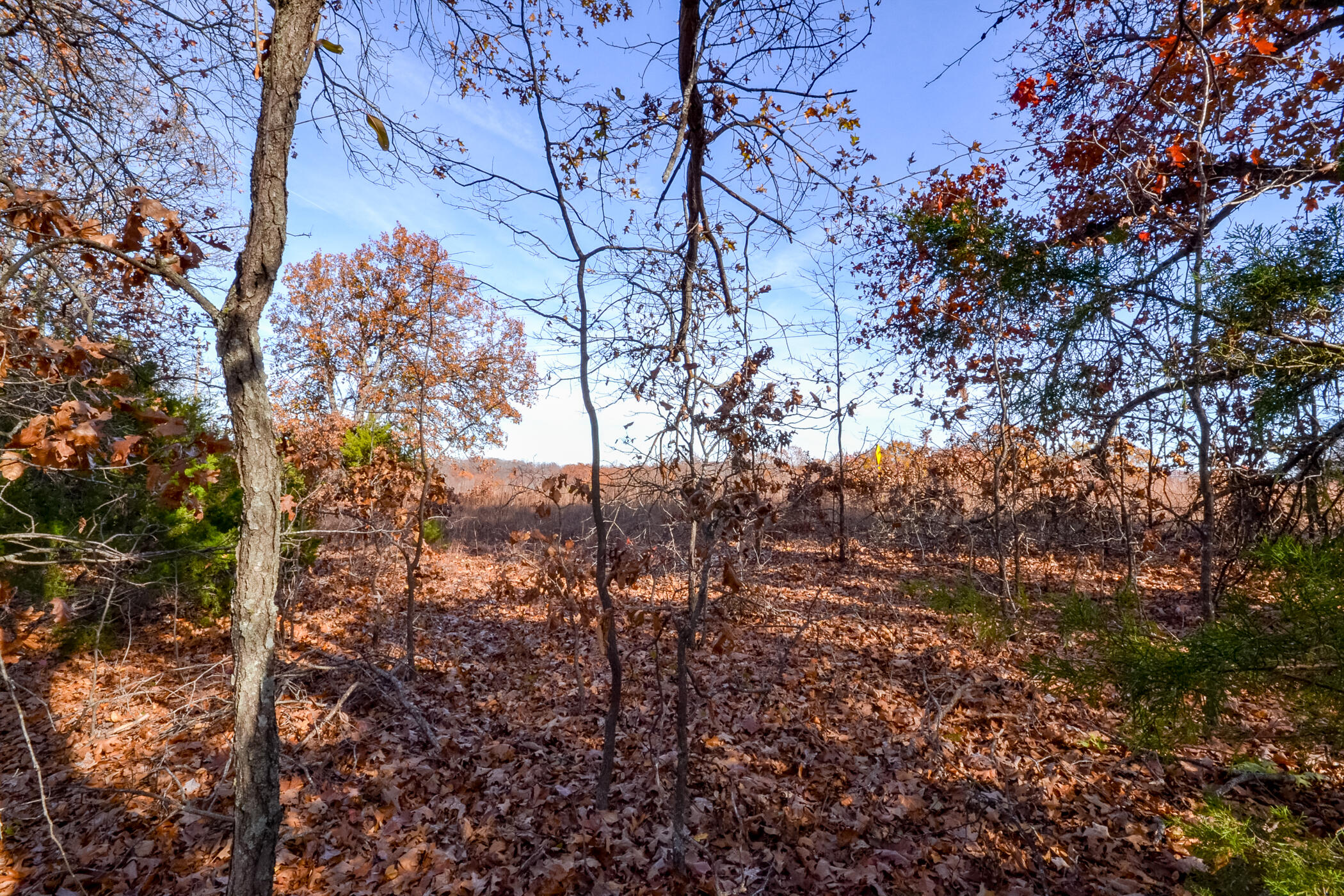 001 South Highway Aa Property Photo 16