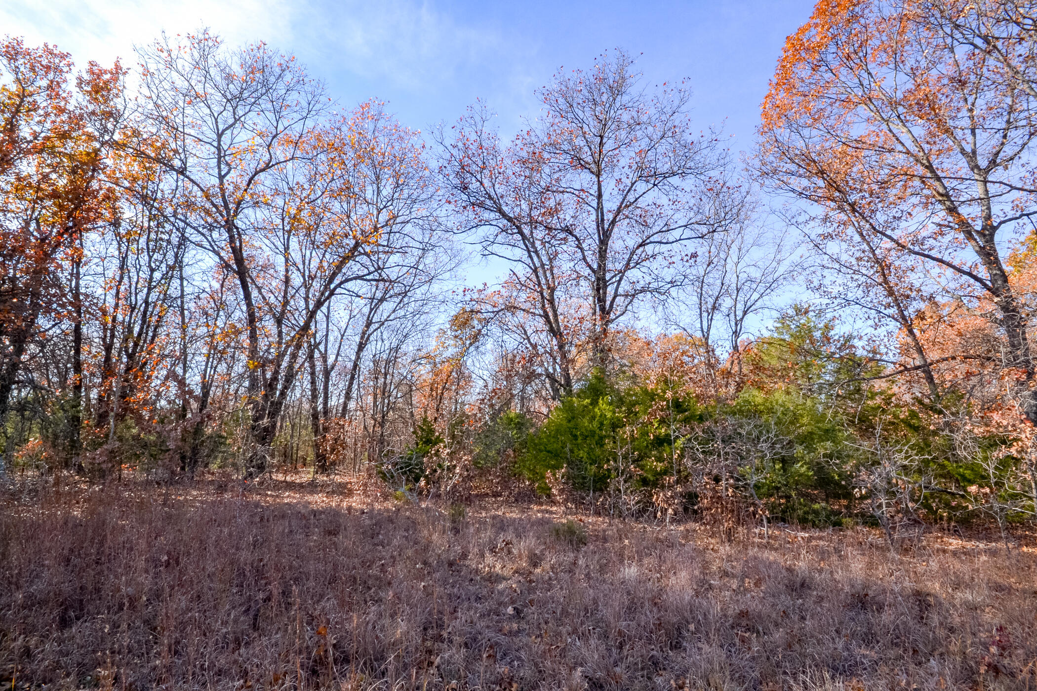 001 South Highway Aa Property Photo 17