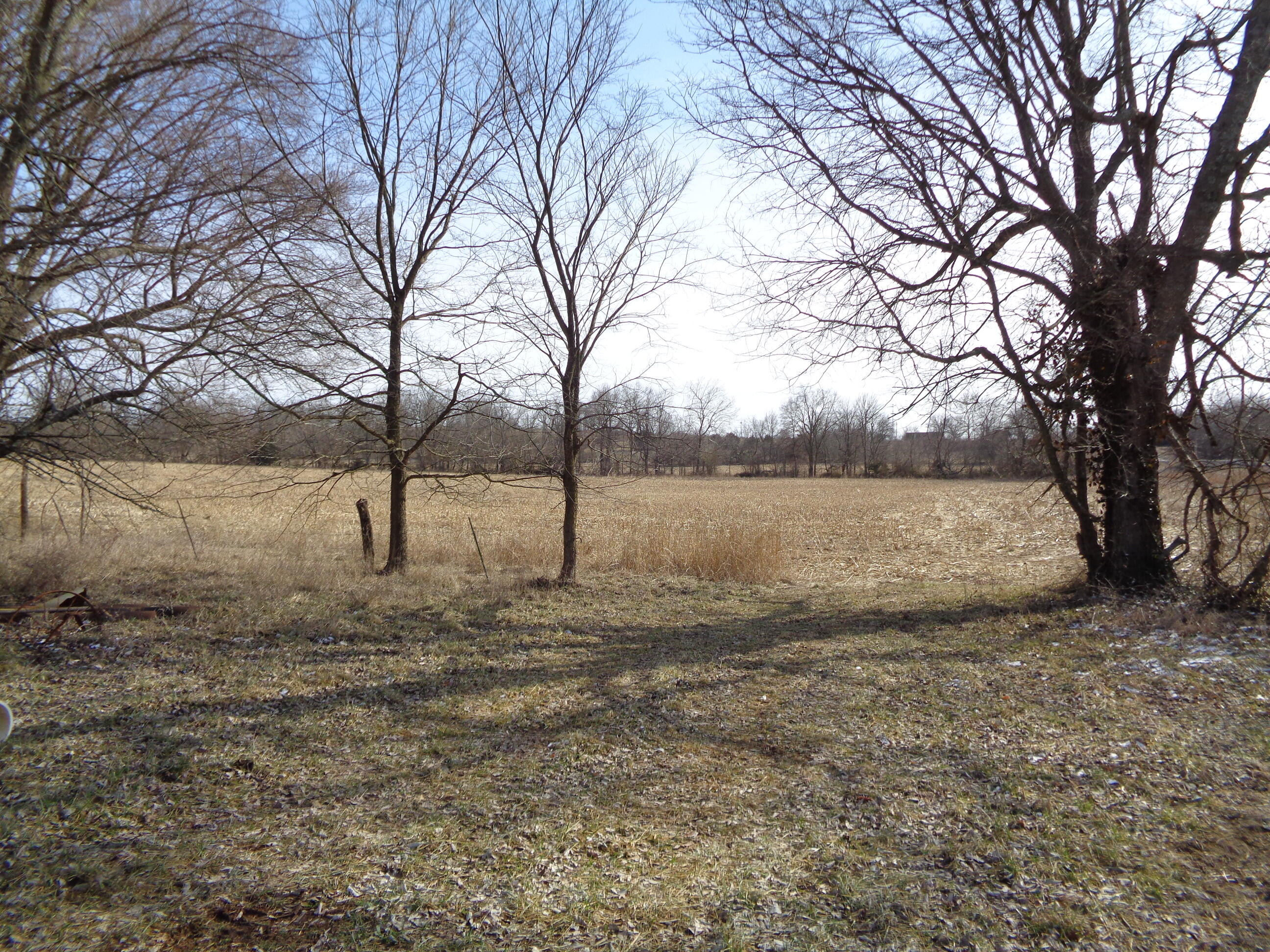 Lot 1 South State Highway T Property Photo 2