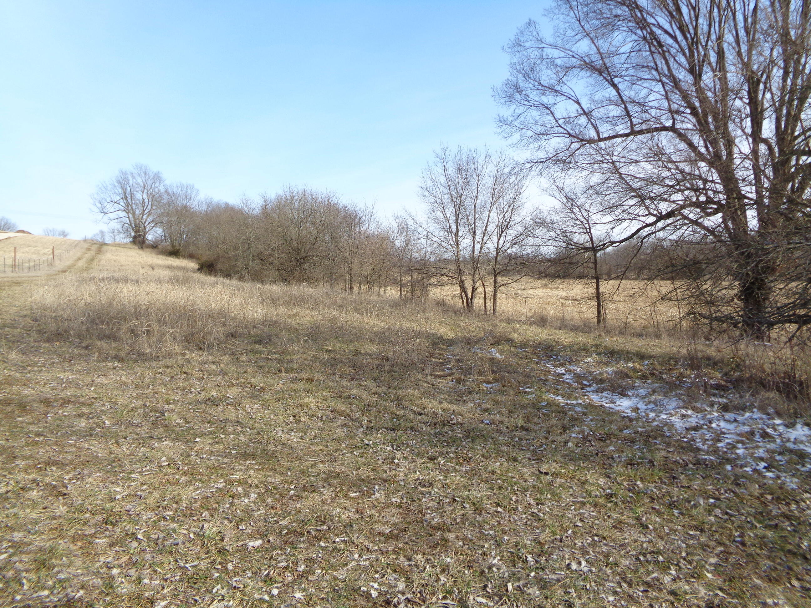 Lot 1 South State Highway T Property Photo 3
