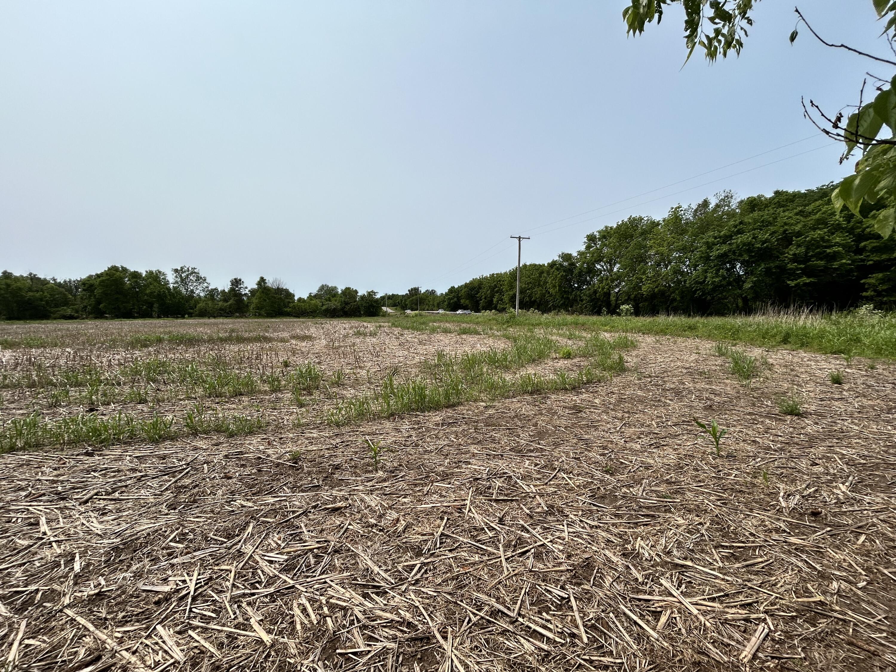 Lot 1 South State Highway T Property Photo 3