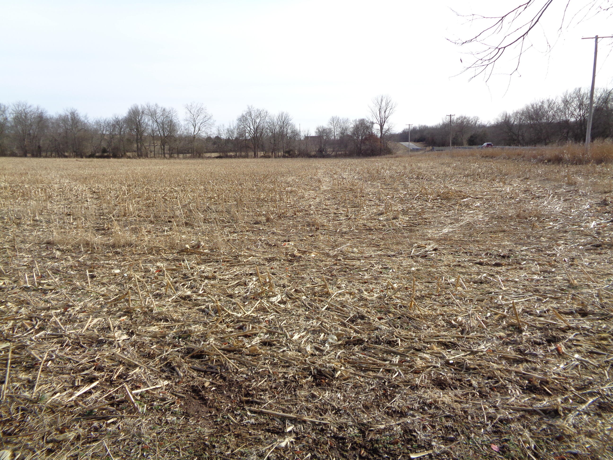 Lot 1 South State Highway T Property Photo 4