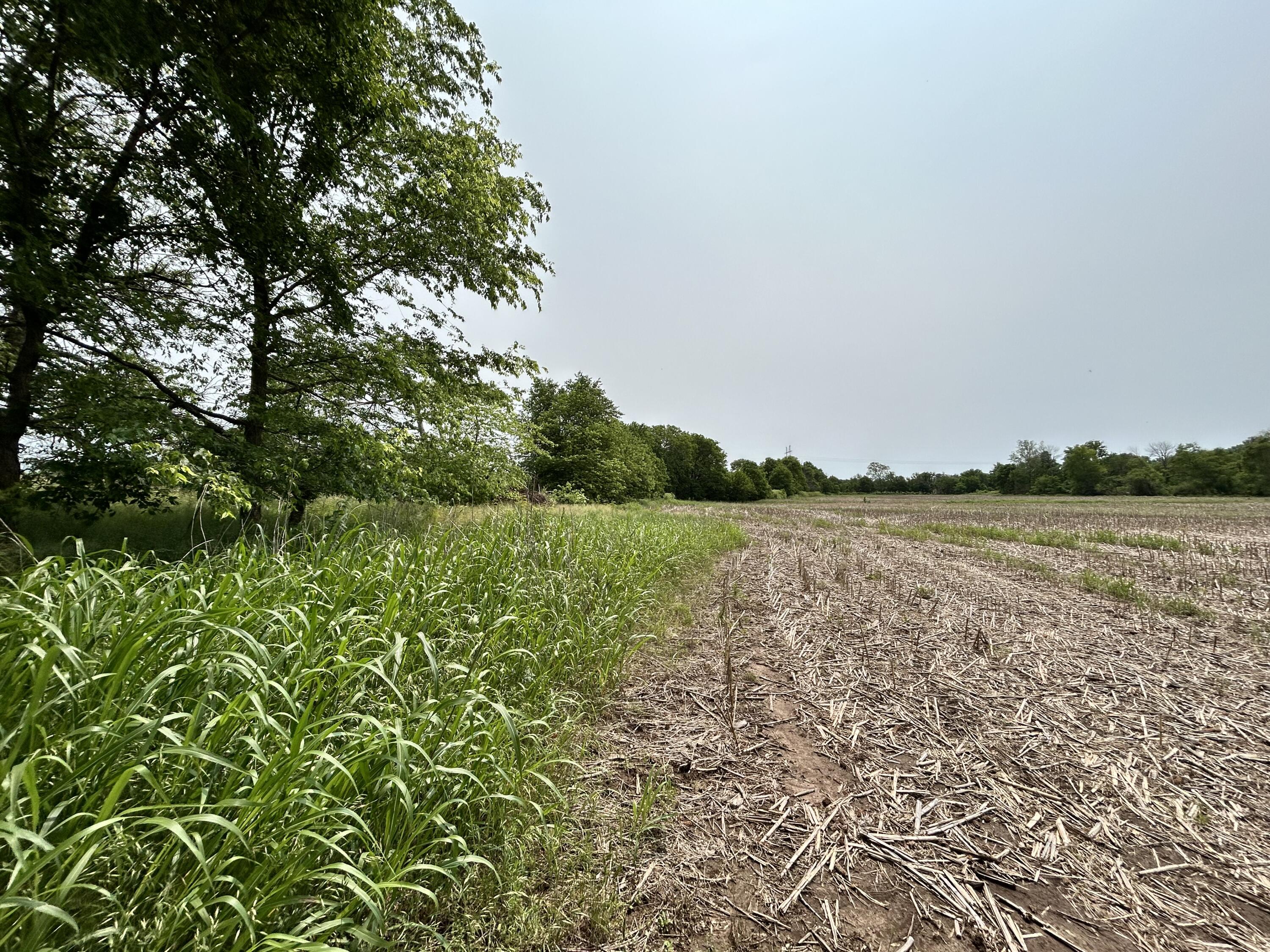 Lot 1 South State Highway T Property Photo 4