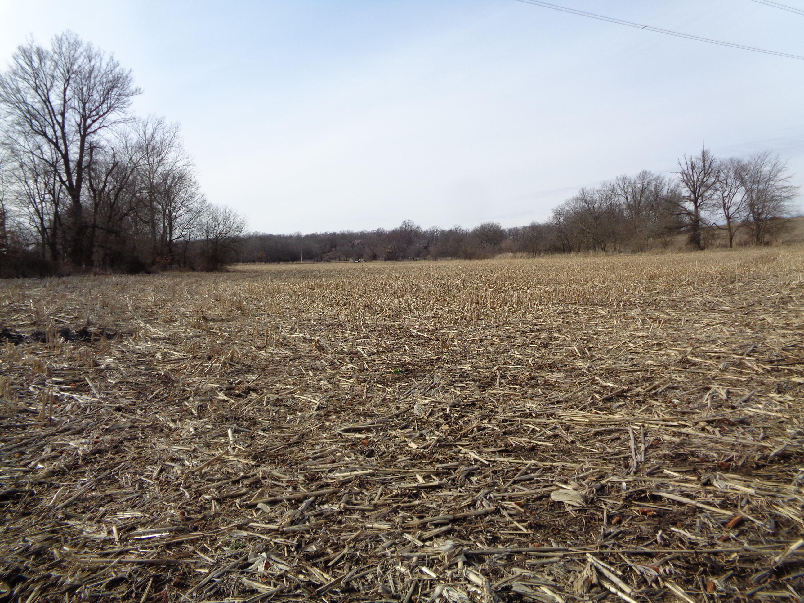 Lot 2 South Farm Rd 83 Property Photo 5