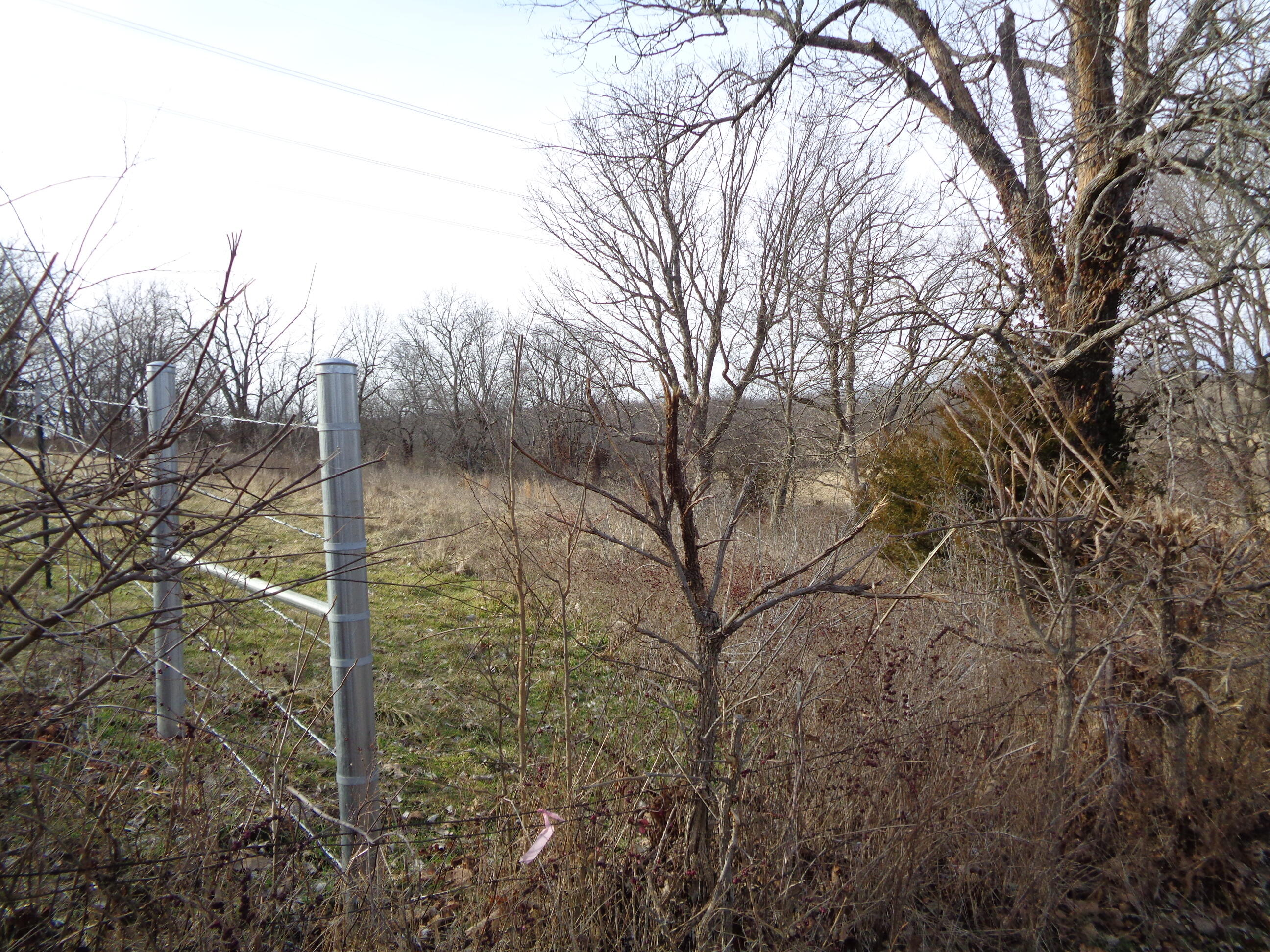 Lot 3 South Farm Rd 83 Property Photo 3