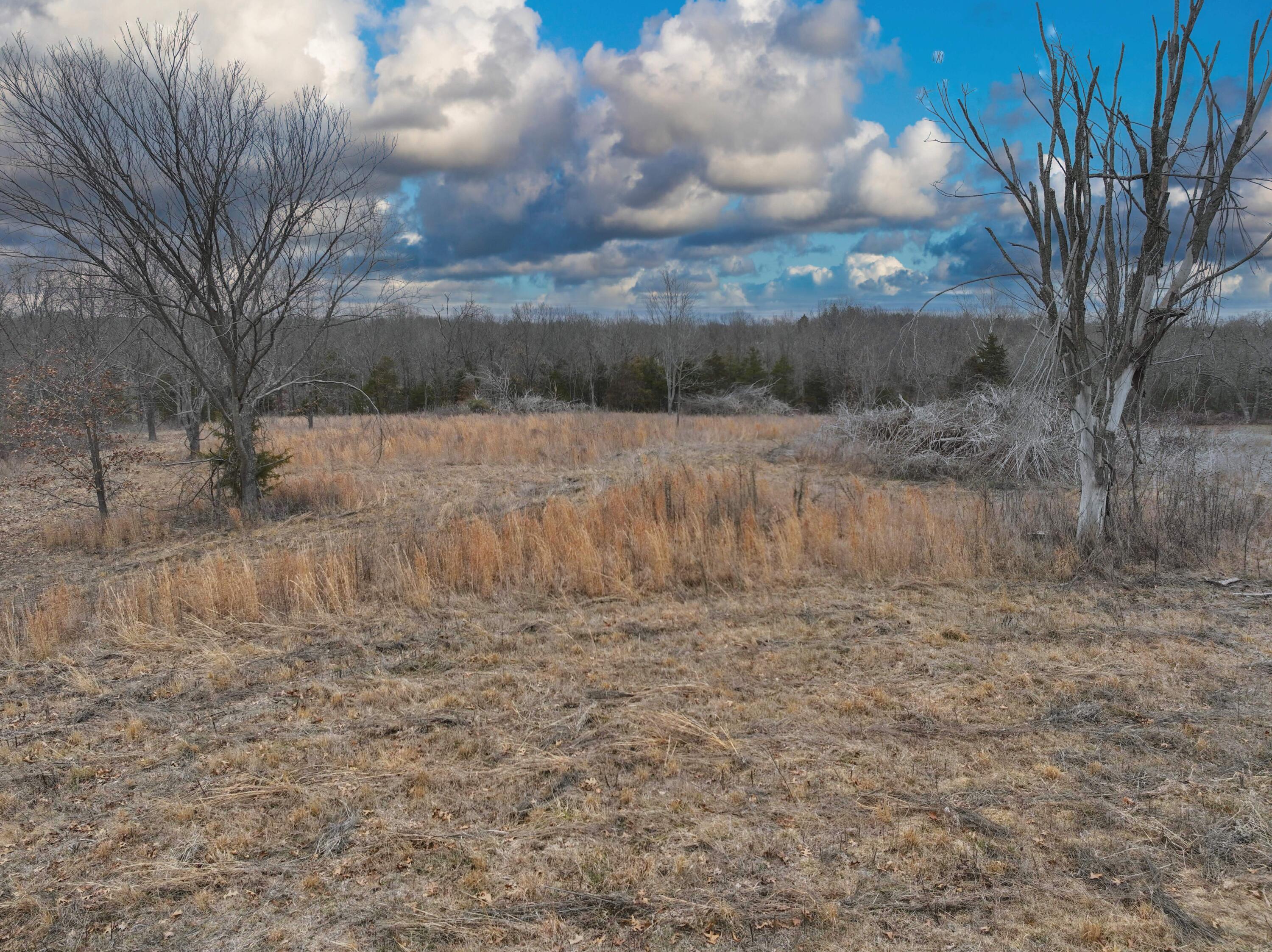 000 Country Meadow Estates Property Photo 9