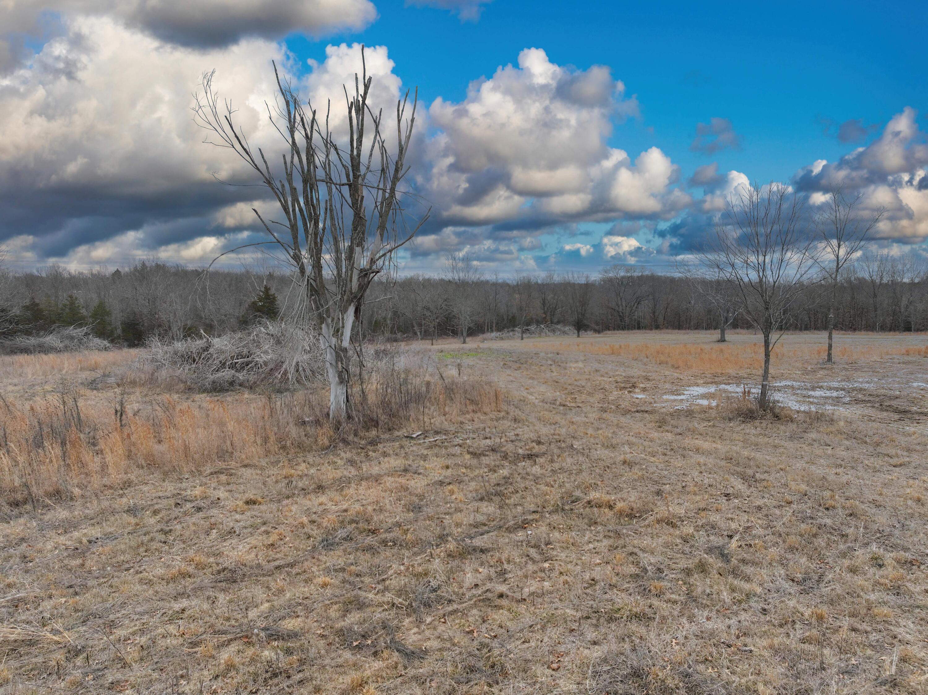 000 Country Meadow Estates Property Photo 10
