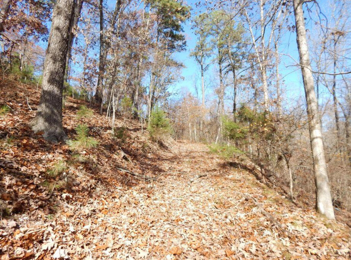 5426 State Hwy H Property Photo 9