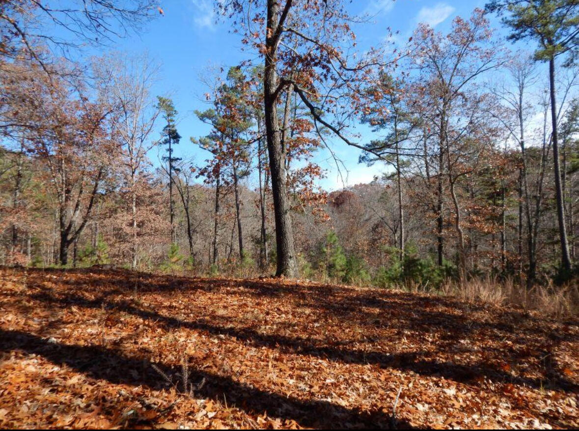 5426 State Hwy H Property Photo 10