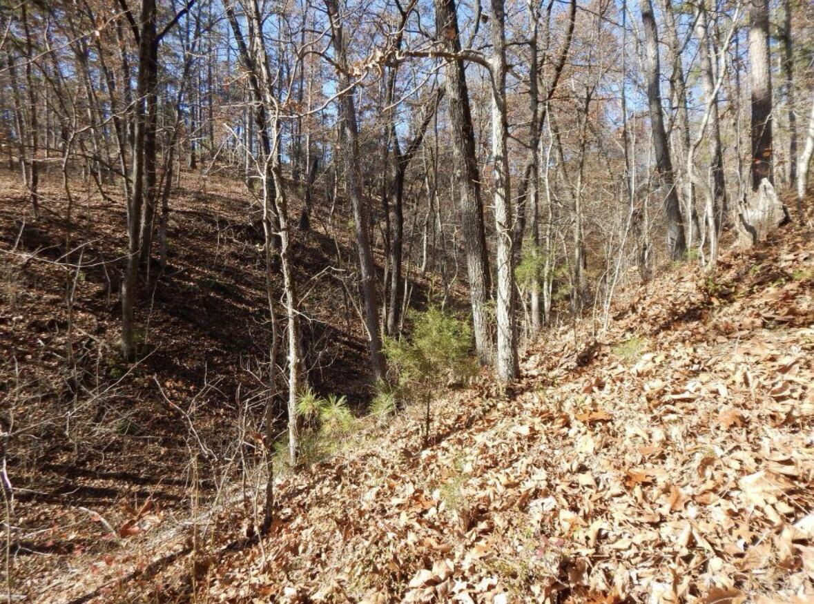 5426 State Hwy H Property Photo 11