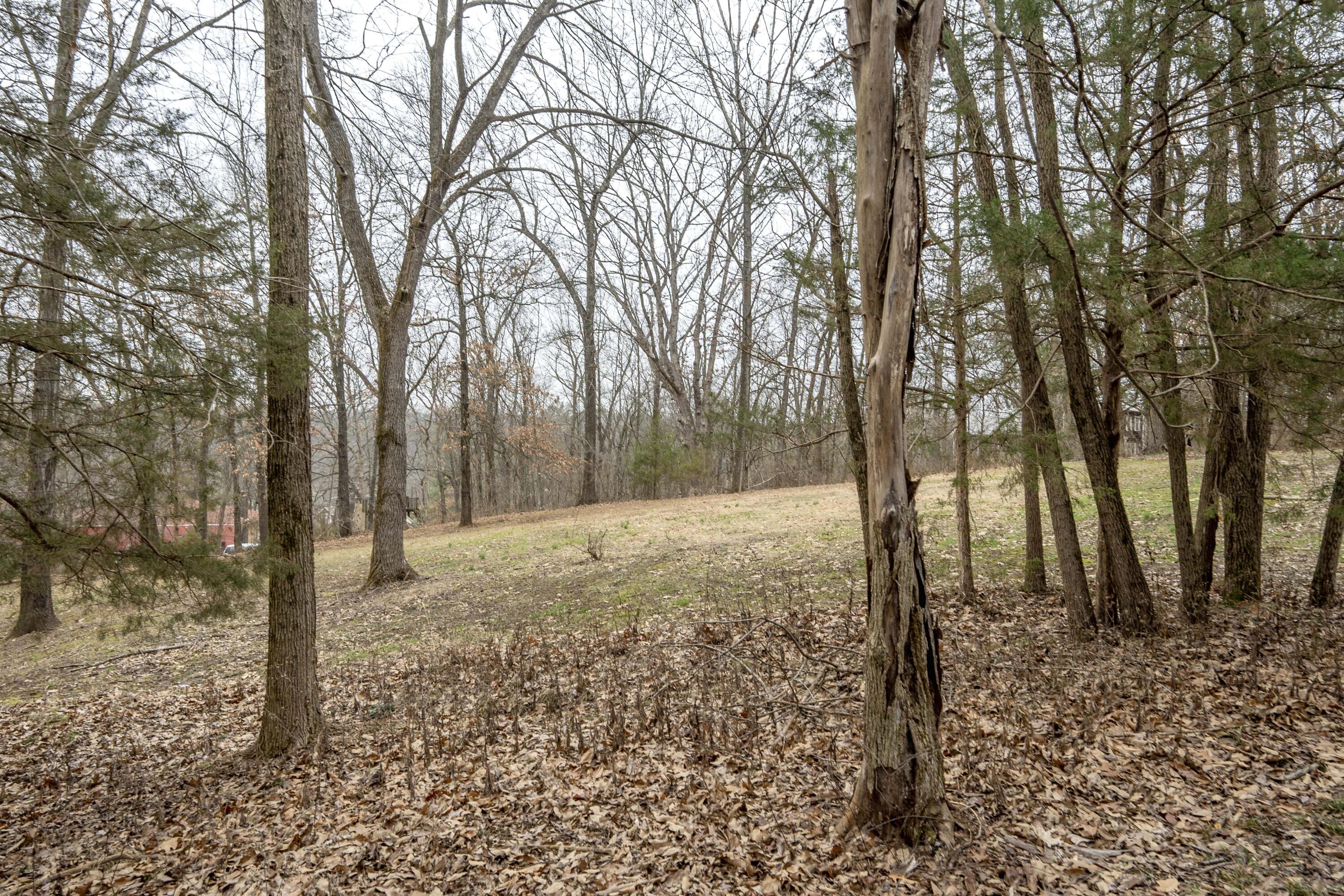 4364 East Scotty Court Property Photo 76