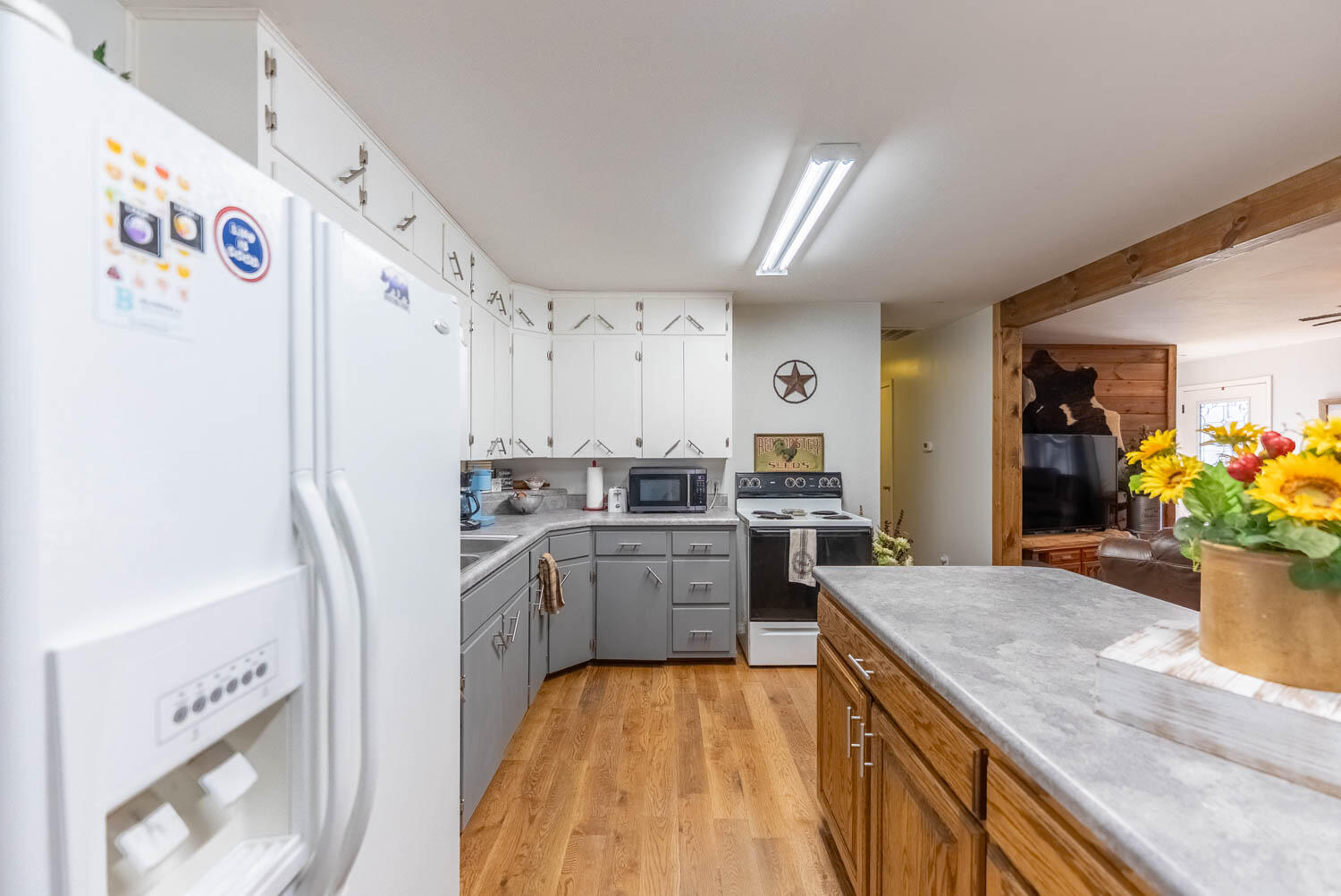 313 Beatrice Property Photo 14