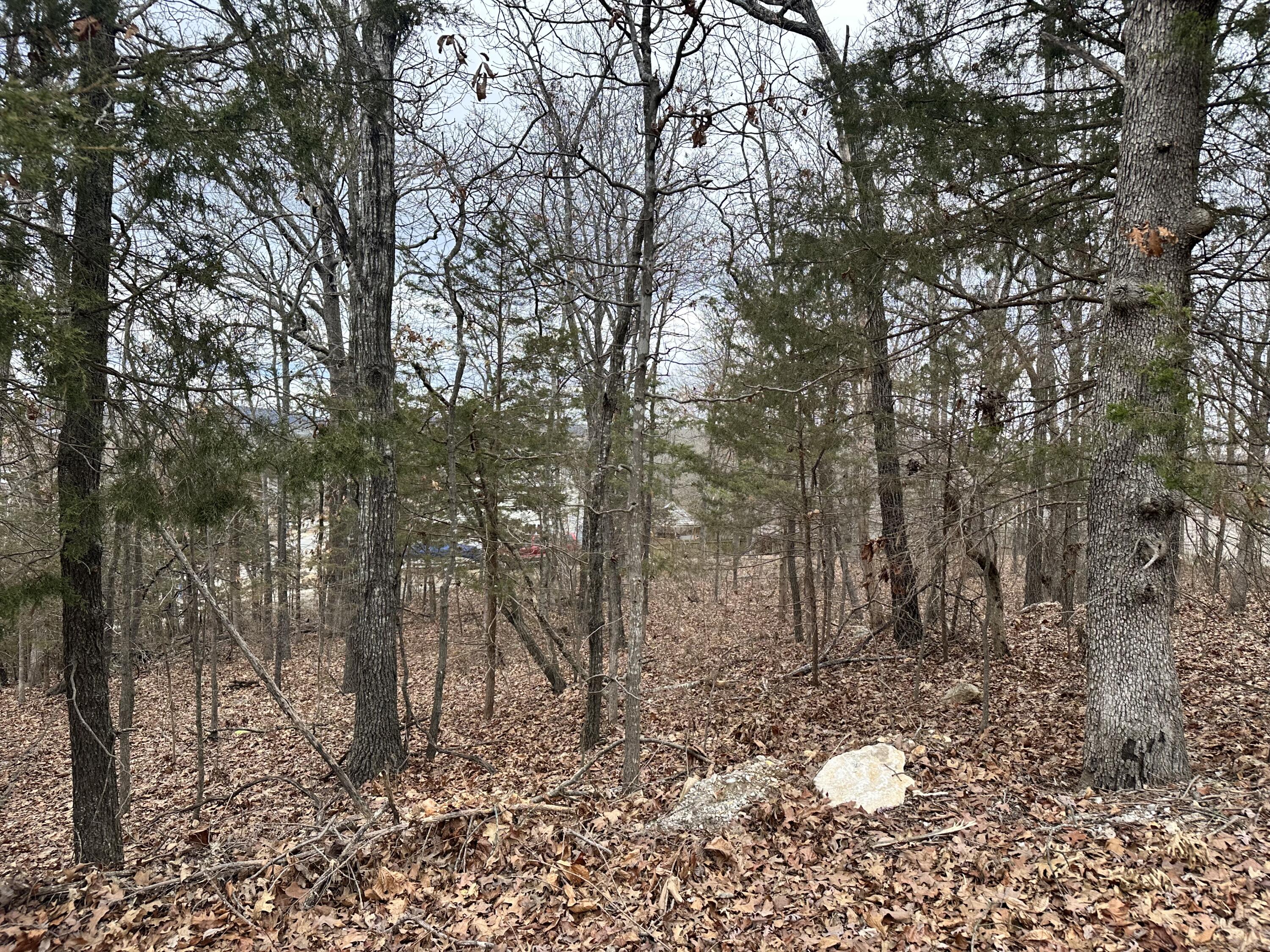 126 Property Photo 4