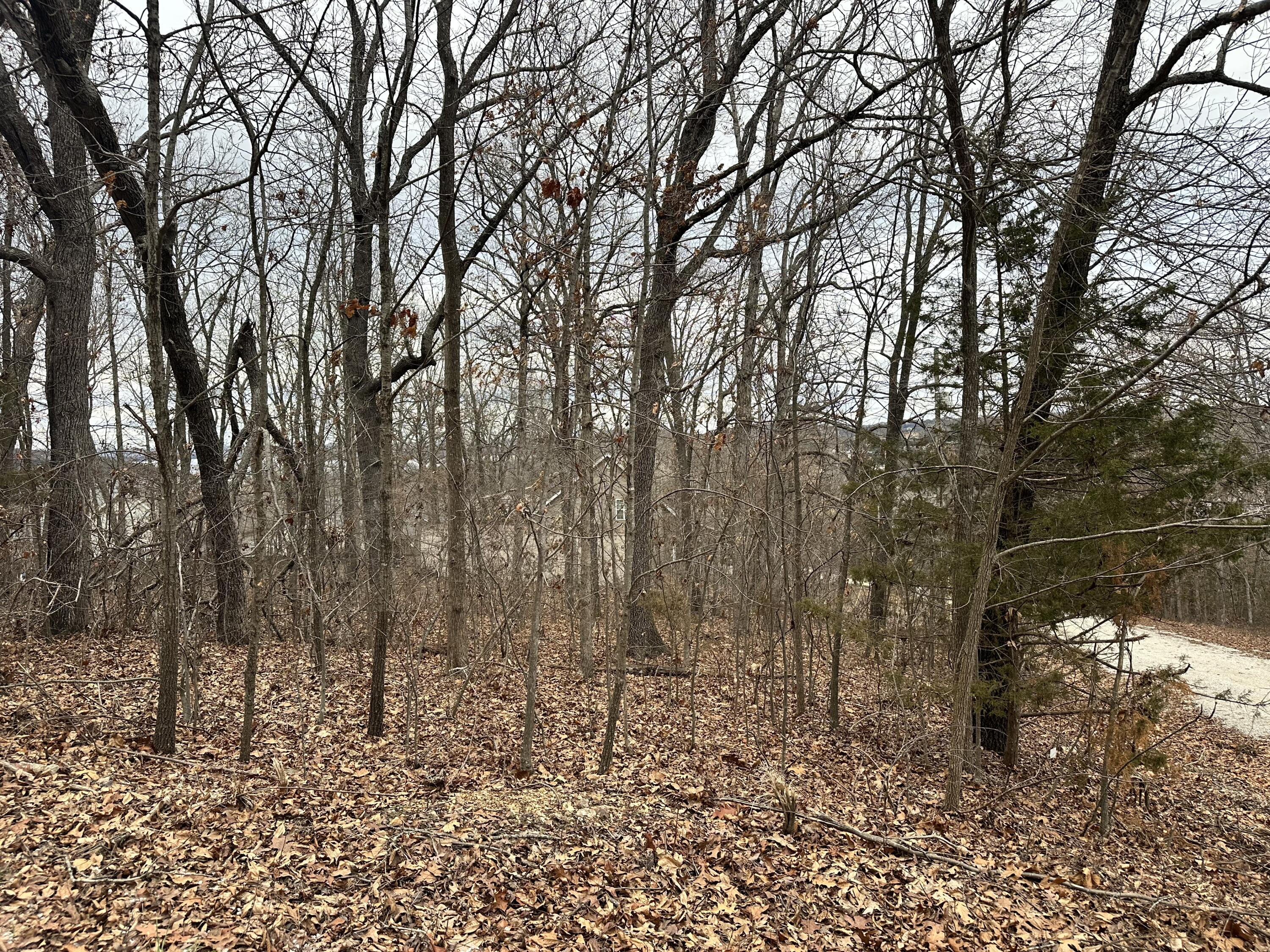 126 Property Photo 5