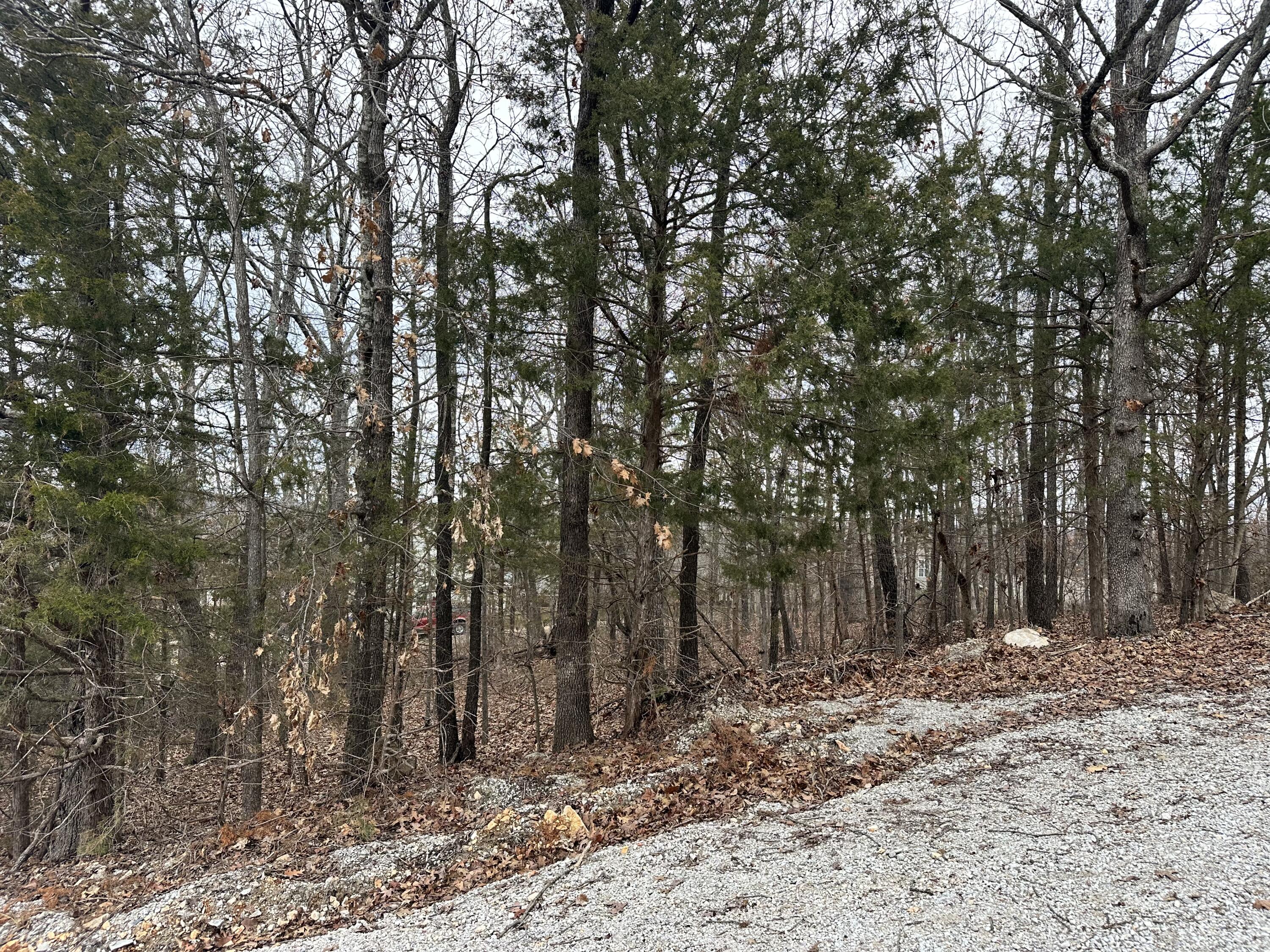 126 Property Photo 8