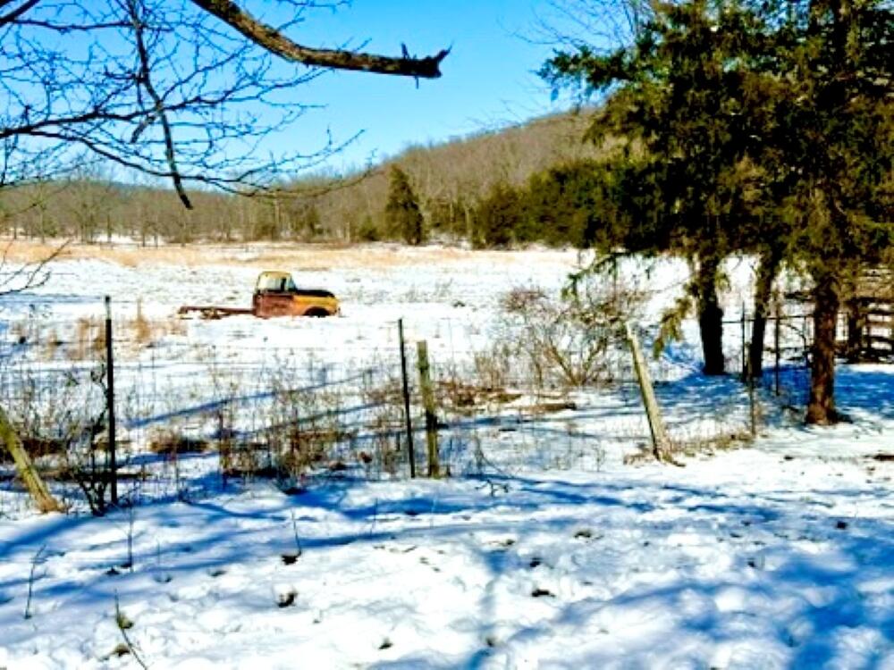 300 Roundup Lane Property Photo 99