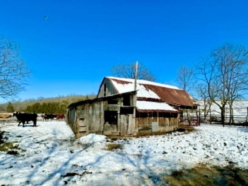 300 Roundup Lane Property Photo 100