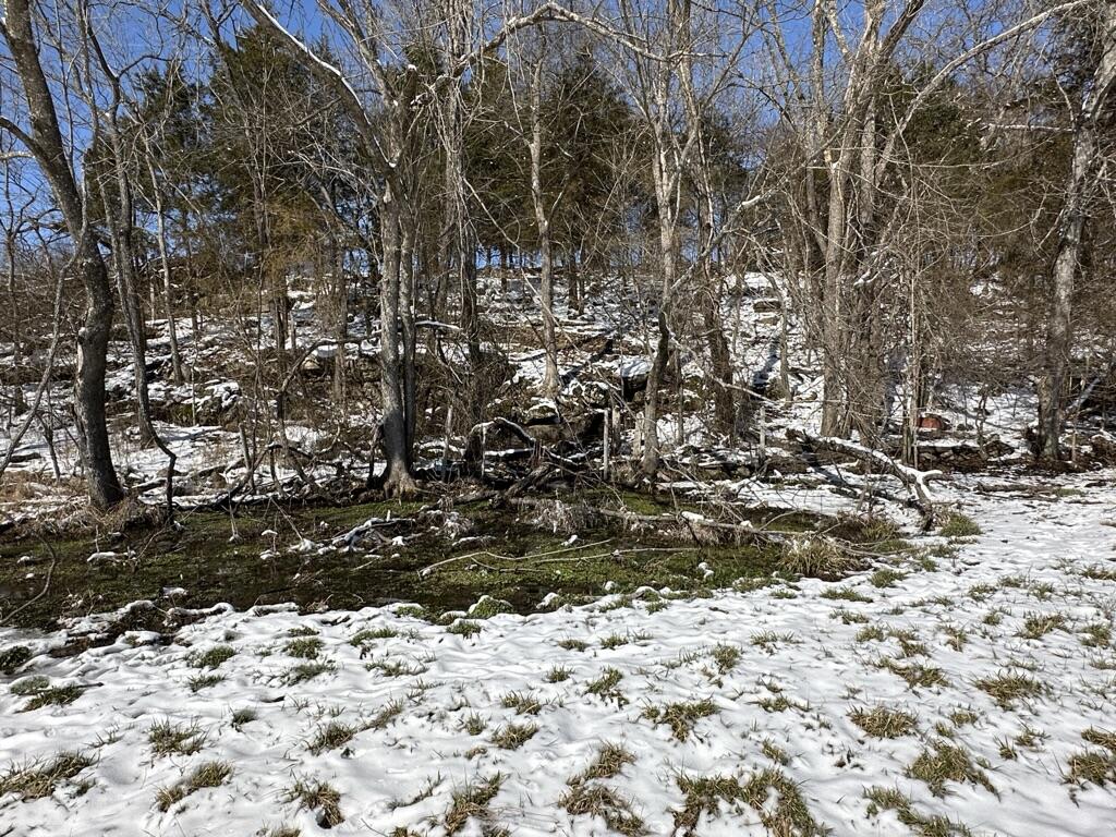 300 Roundup Lane Property Photo 101