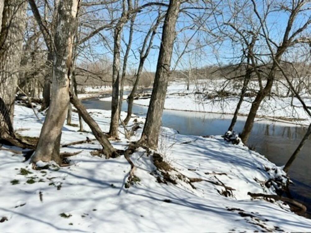 300 Roundup Lane Property Photo 114
